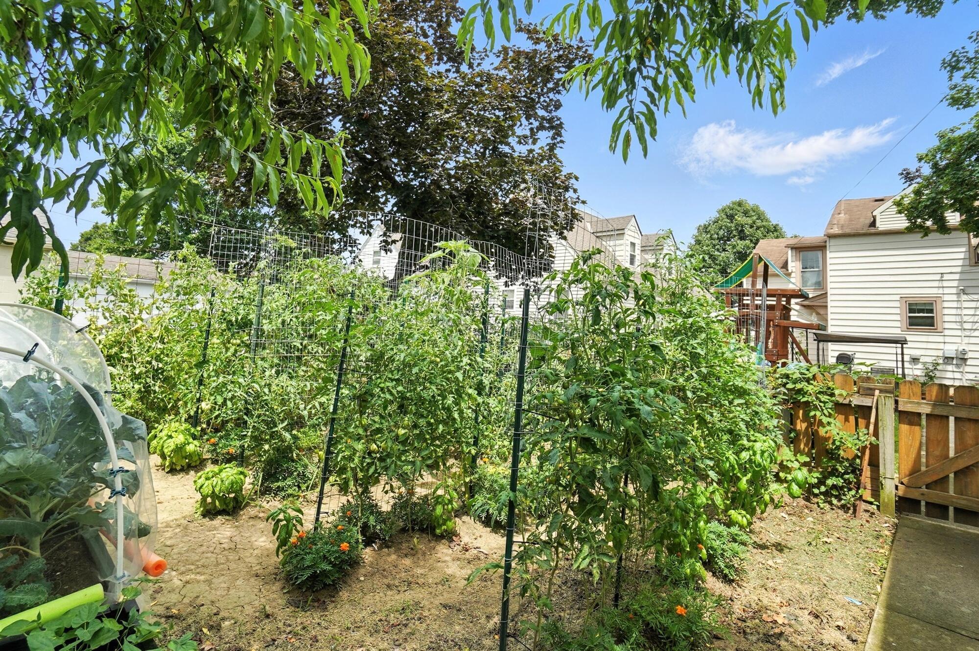 613 Salisbury Road