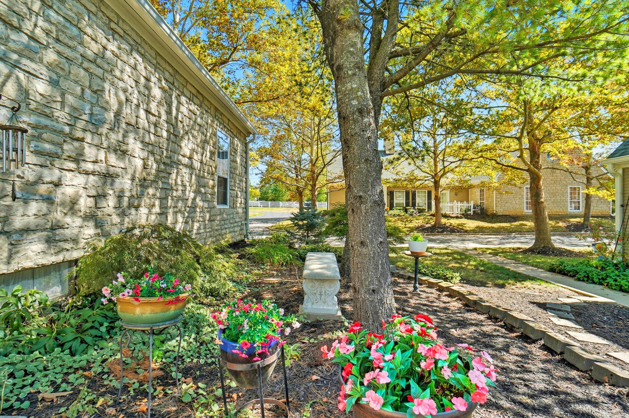 2539 Swan Drive