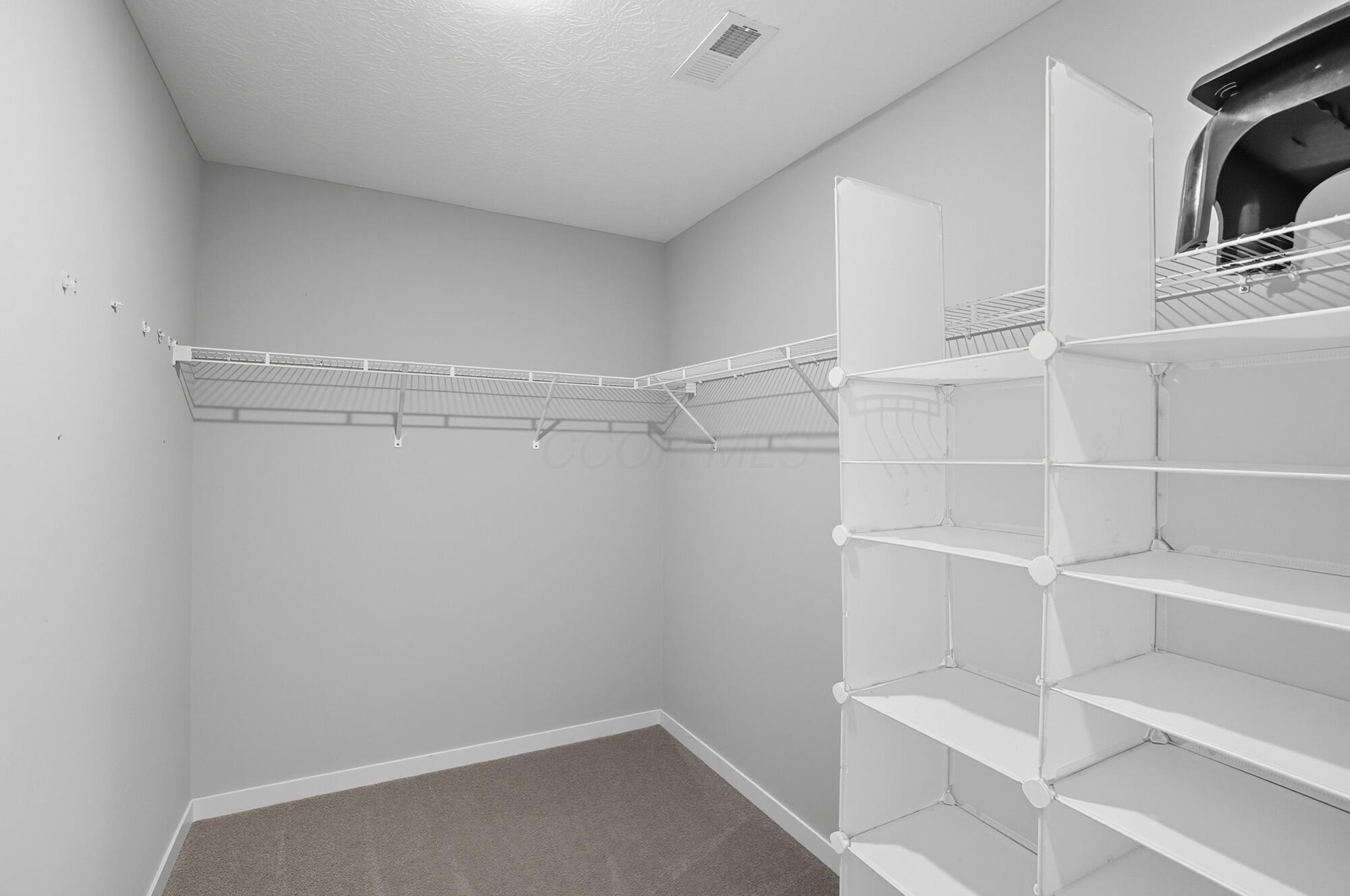 244 Carrowmoore Drive