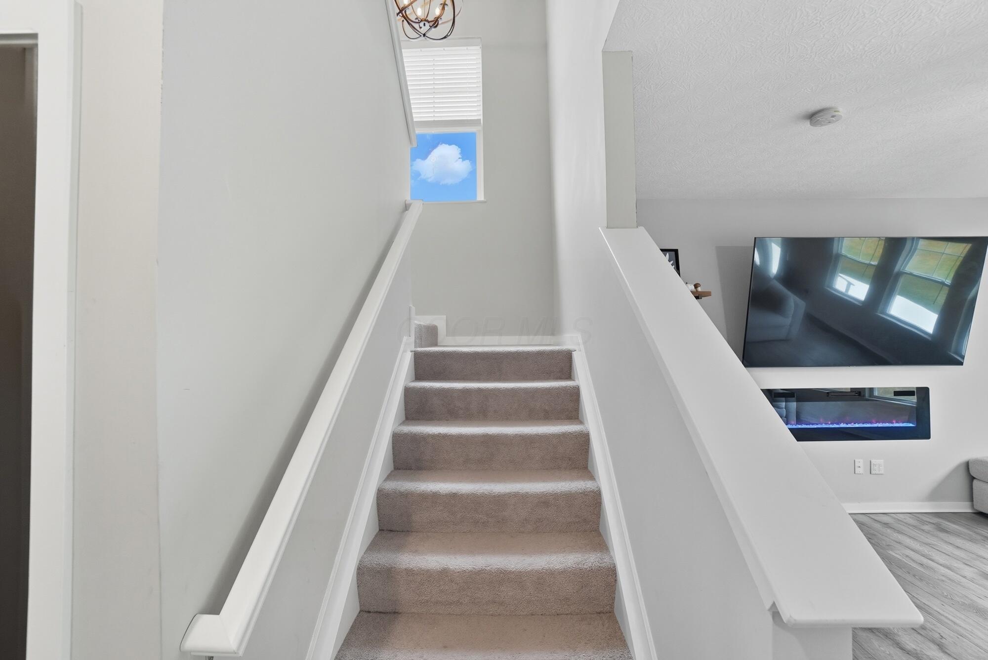 244 Carrowmoore Drive