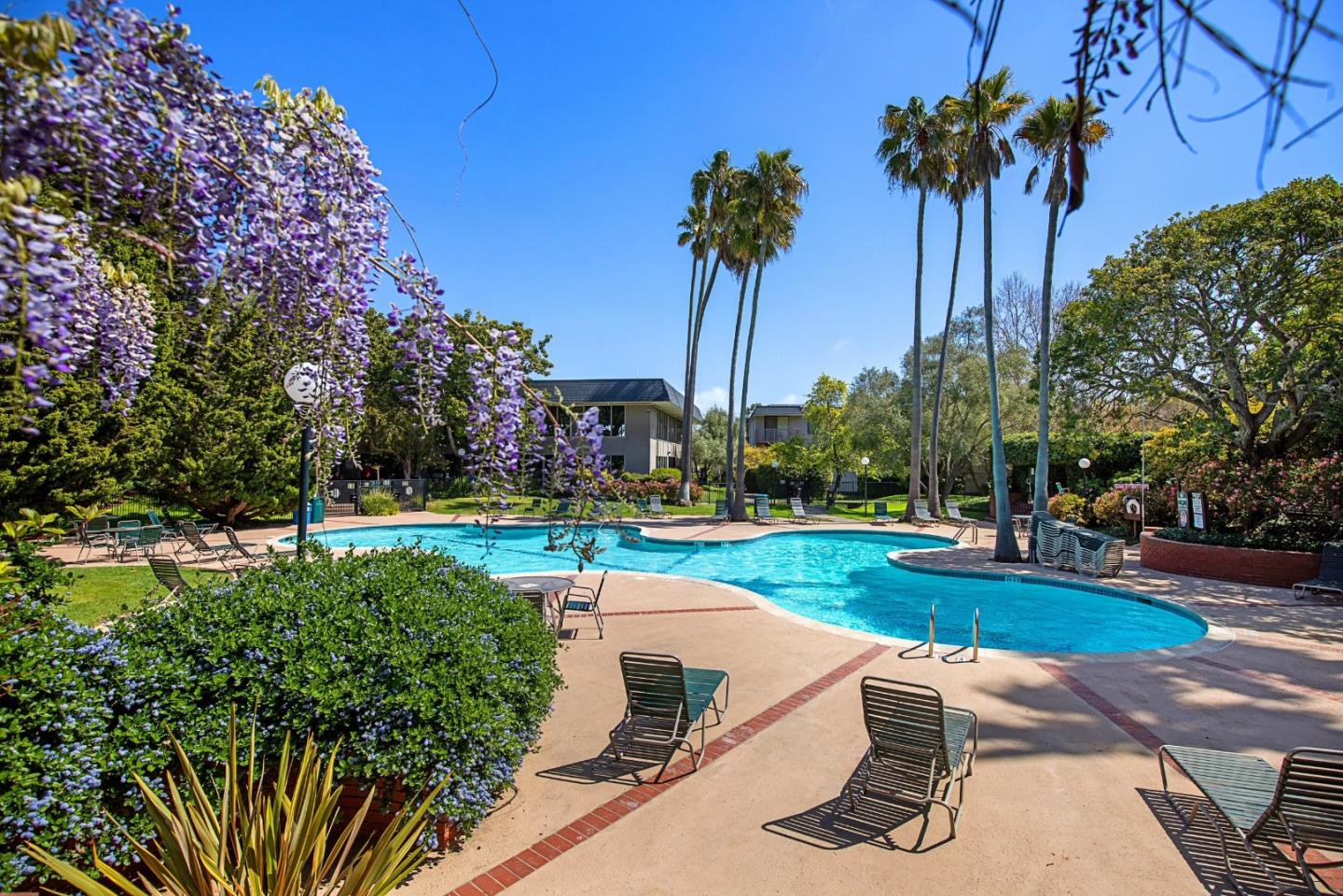 8124 Shelter Creek Lane