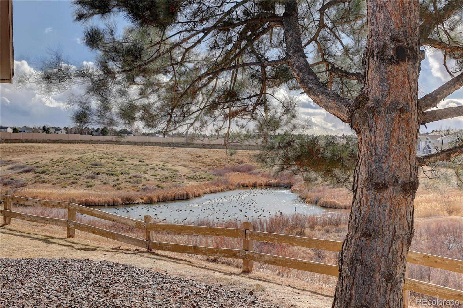 3727 Cactus Creek Court Unit: 103
