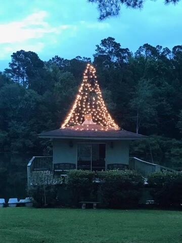 114 LAKE BLUFF Drive