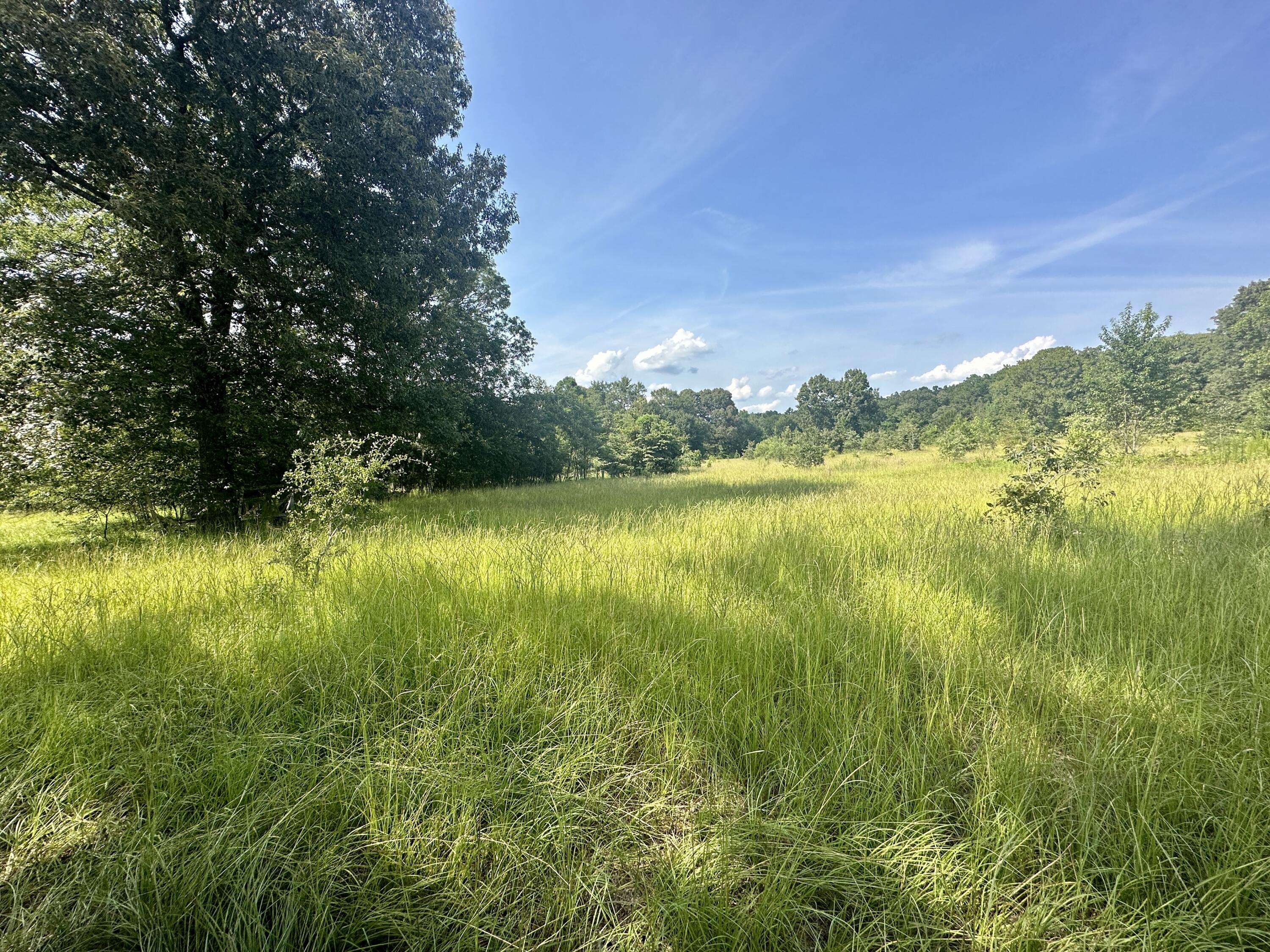 3241 HANCOCK LANDING Road