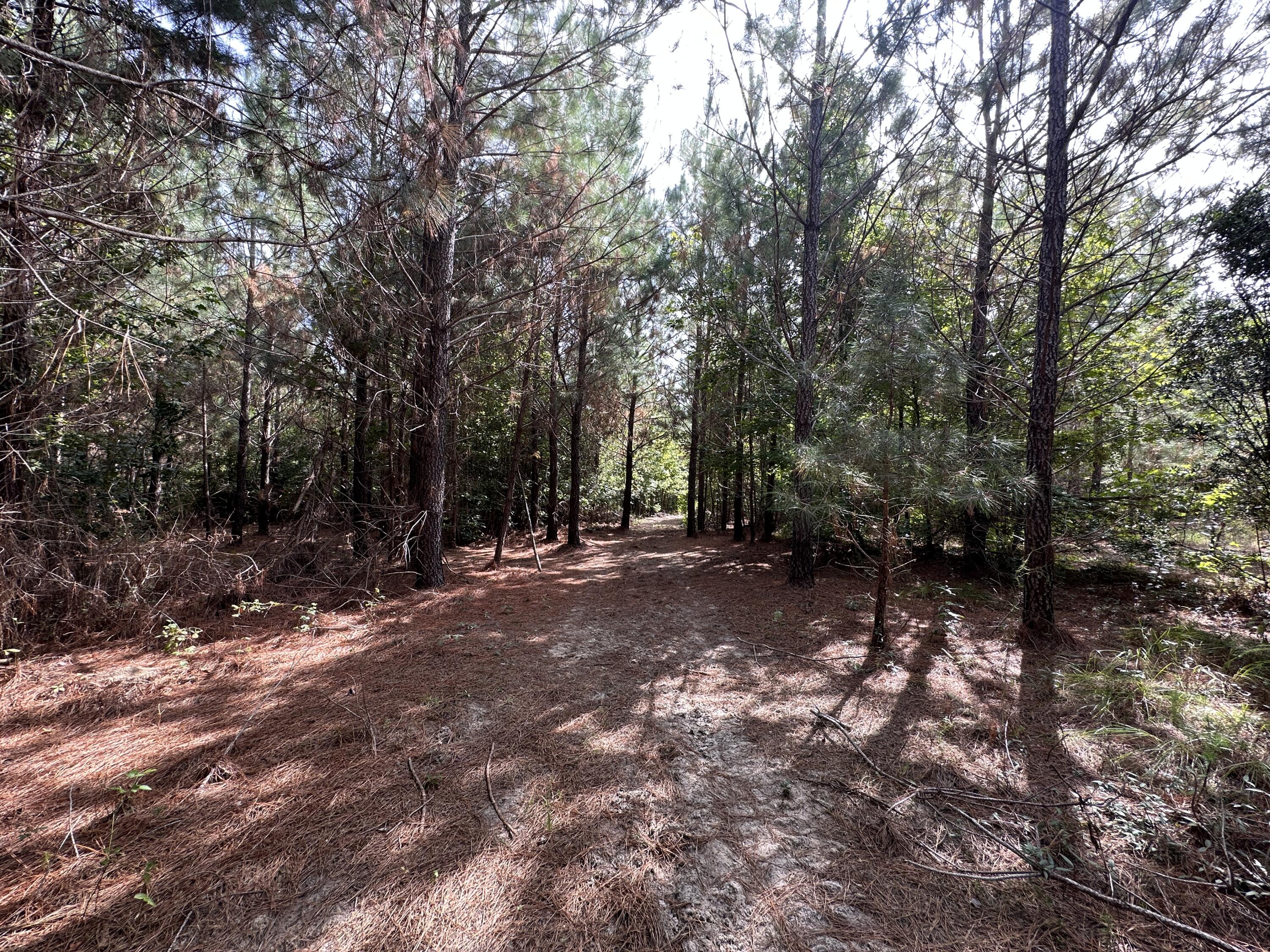 0 LITTLE NEW YORK Road