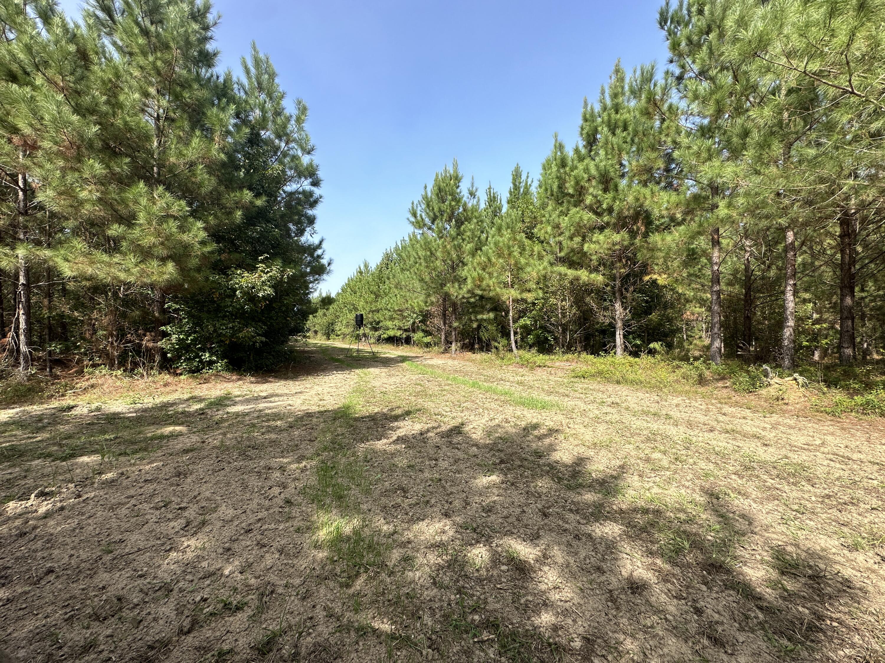 0 LITTLE NEW YORK Road