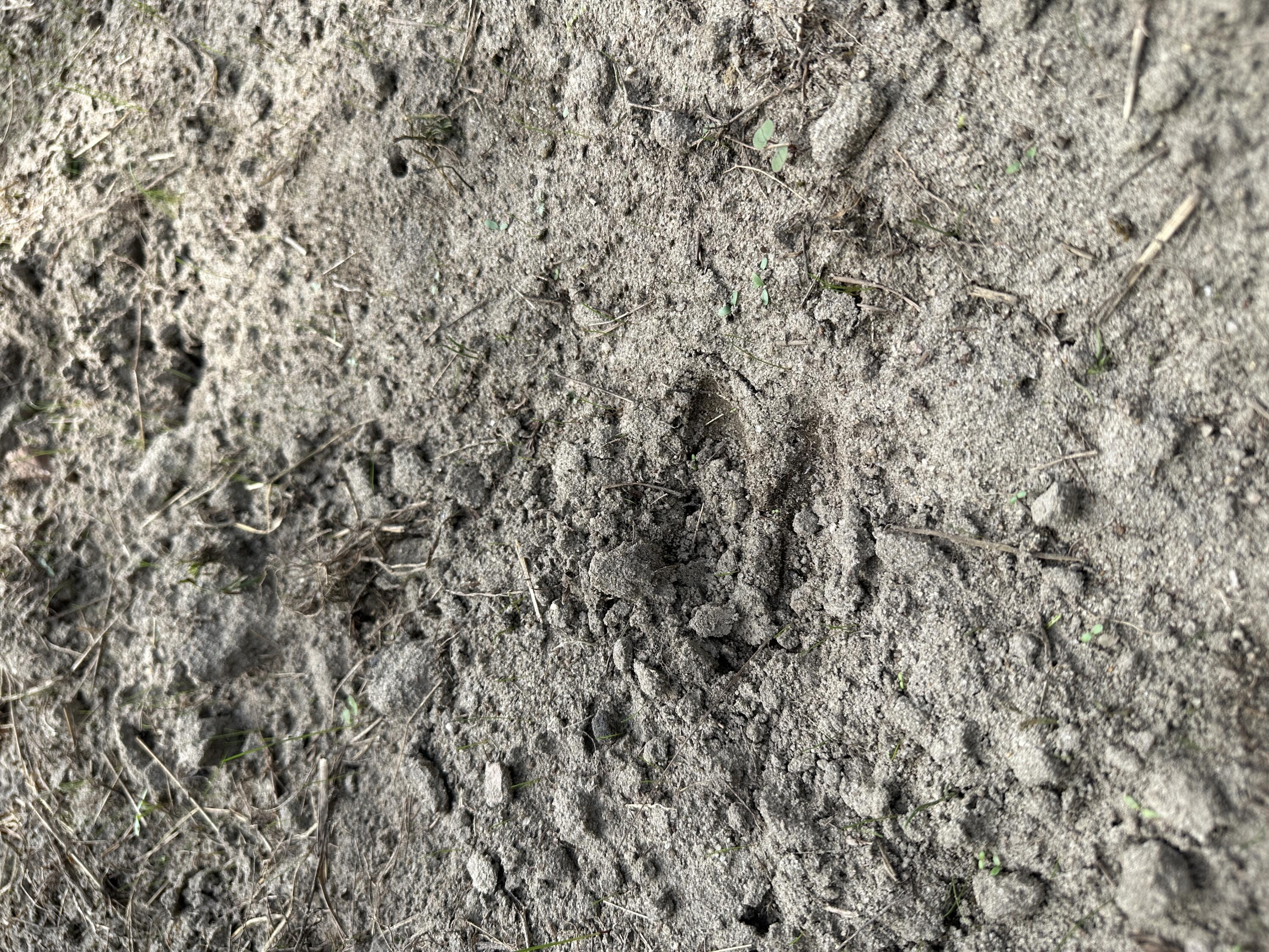 0 LITTLE NEW YORK Road