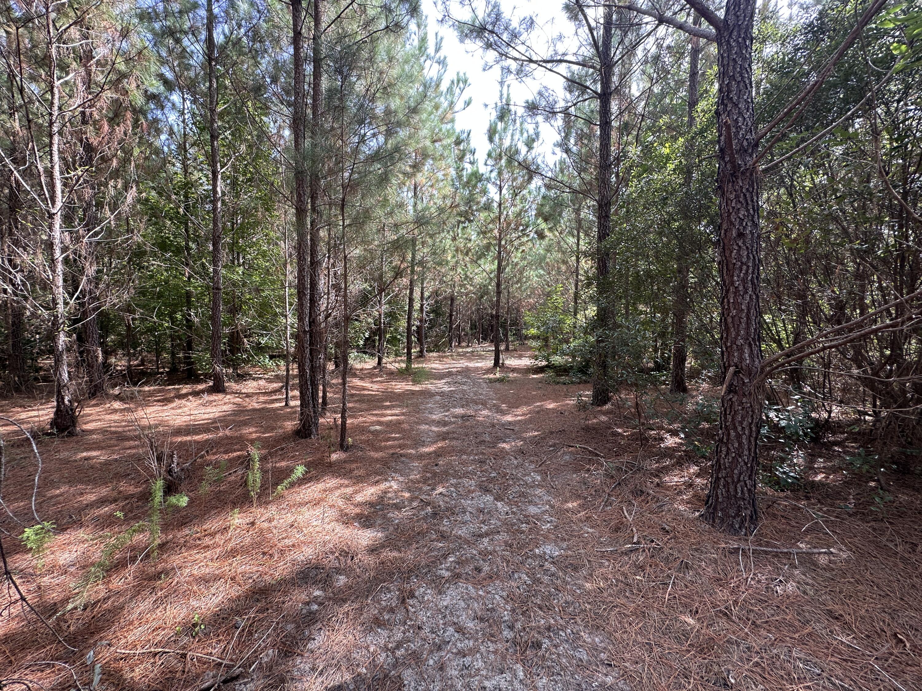 0 LITTLE NEW YORK Road