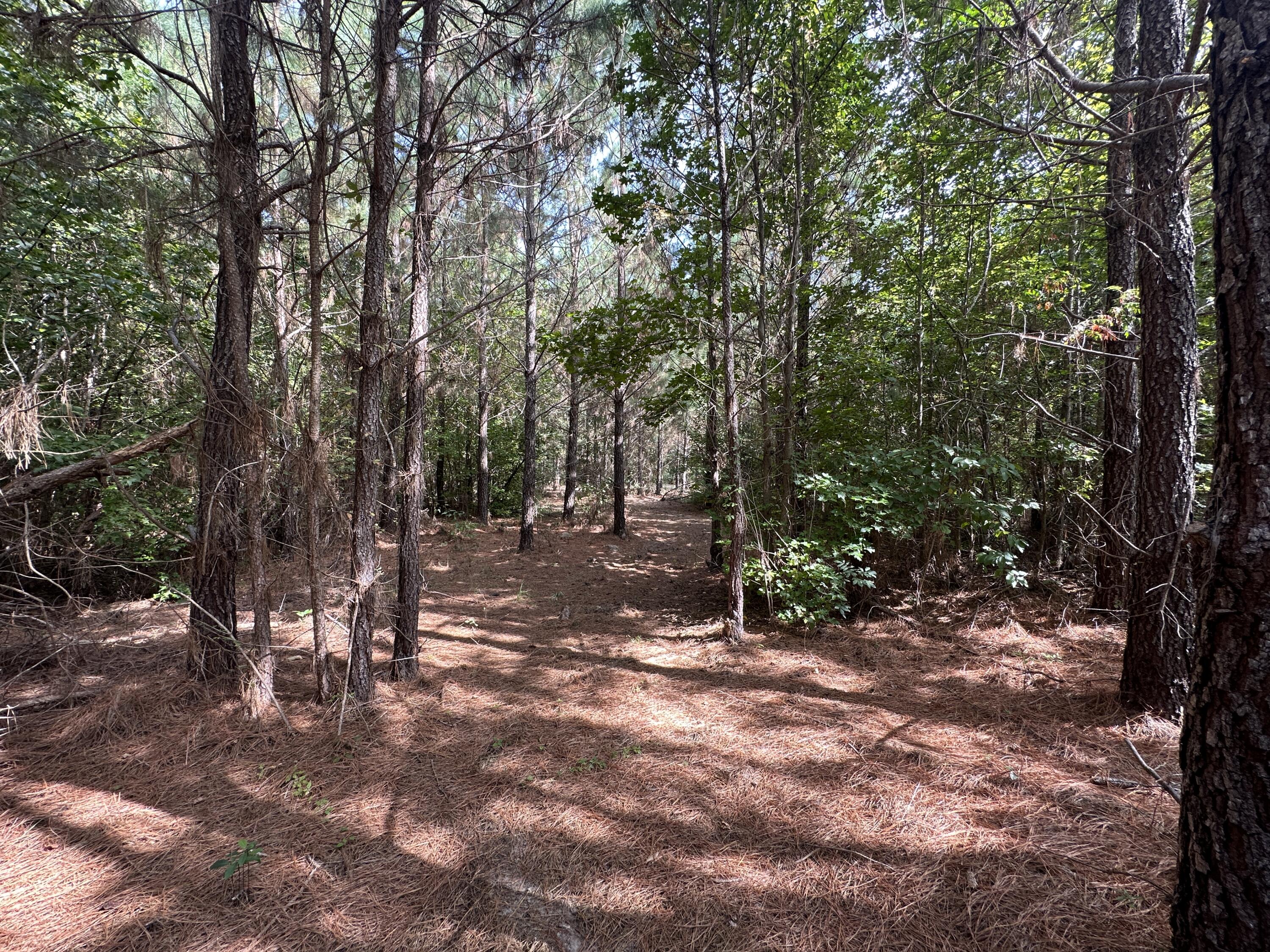 0 LITTLE NEW YORK Road