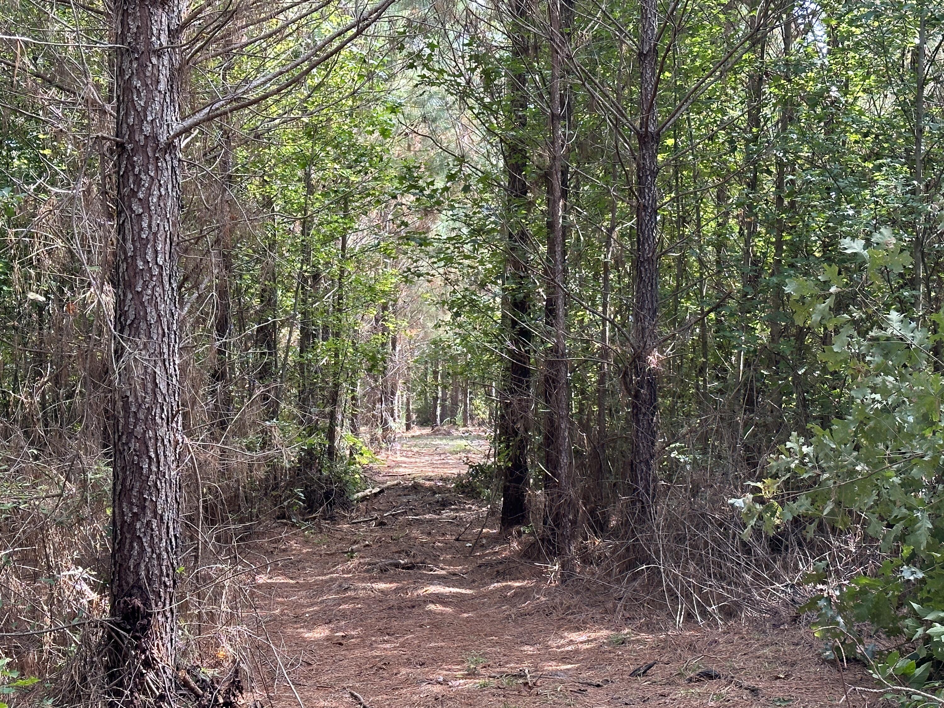 0 LITTLE NEW YORK Road