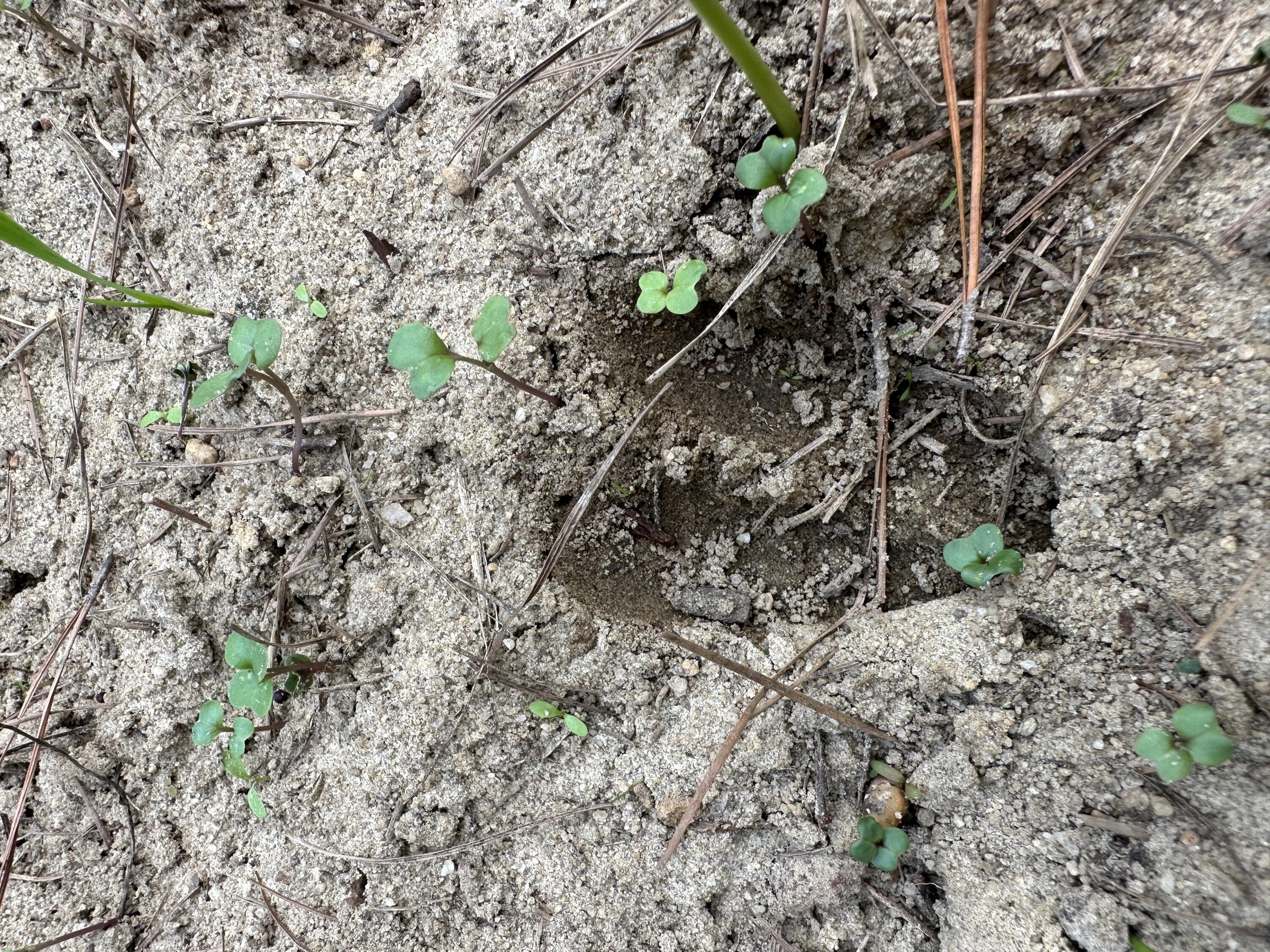 0 LITTLE NEW YORK Road