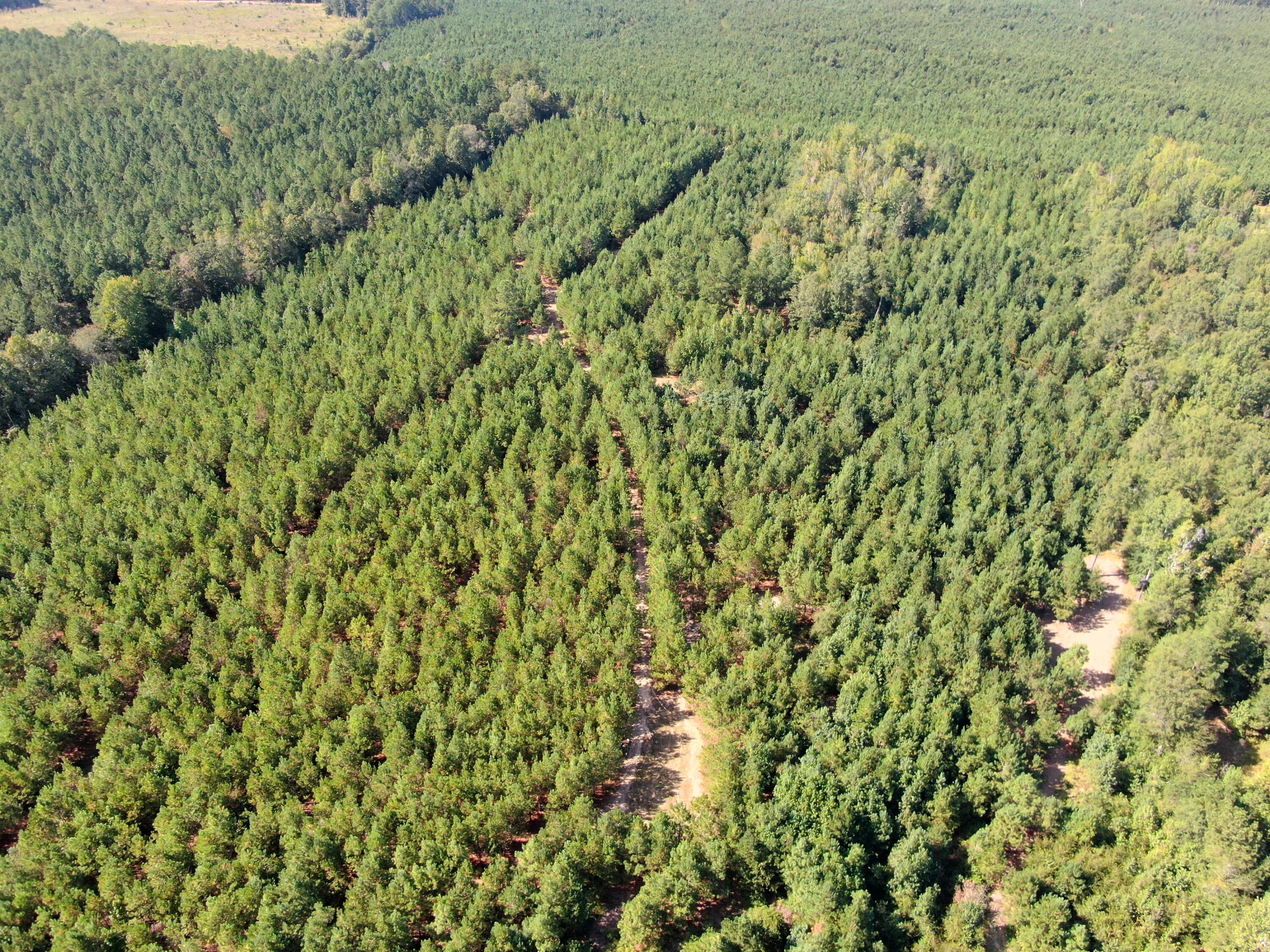 0 LITTLE NEW YORK Road