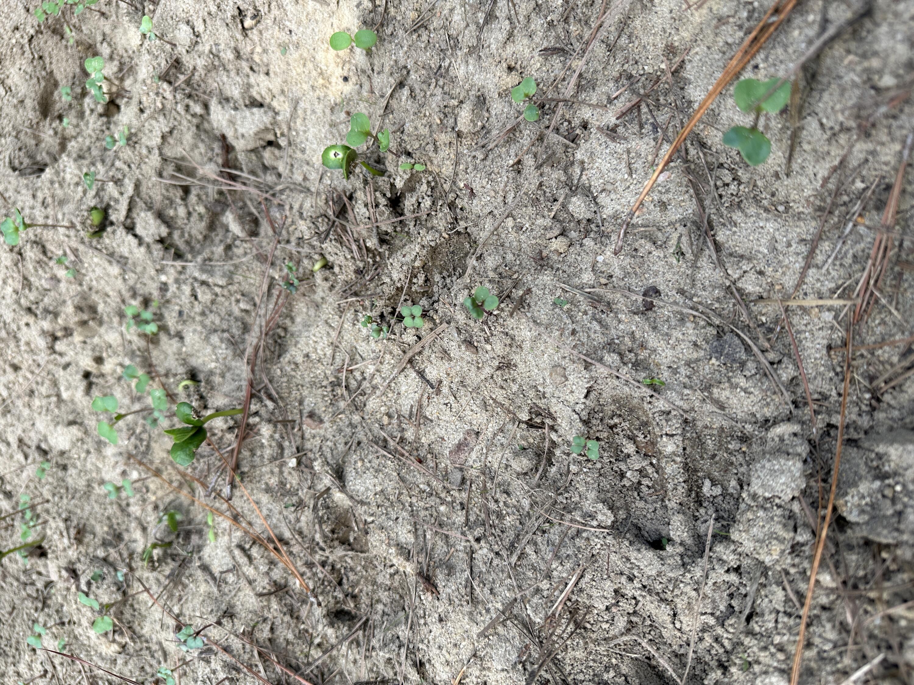 0 LITTLE NEW YORK Road