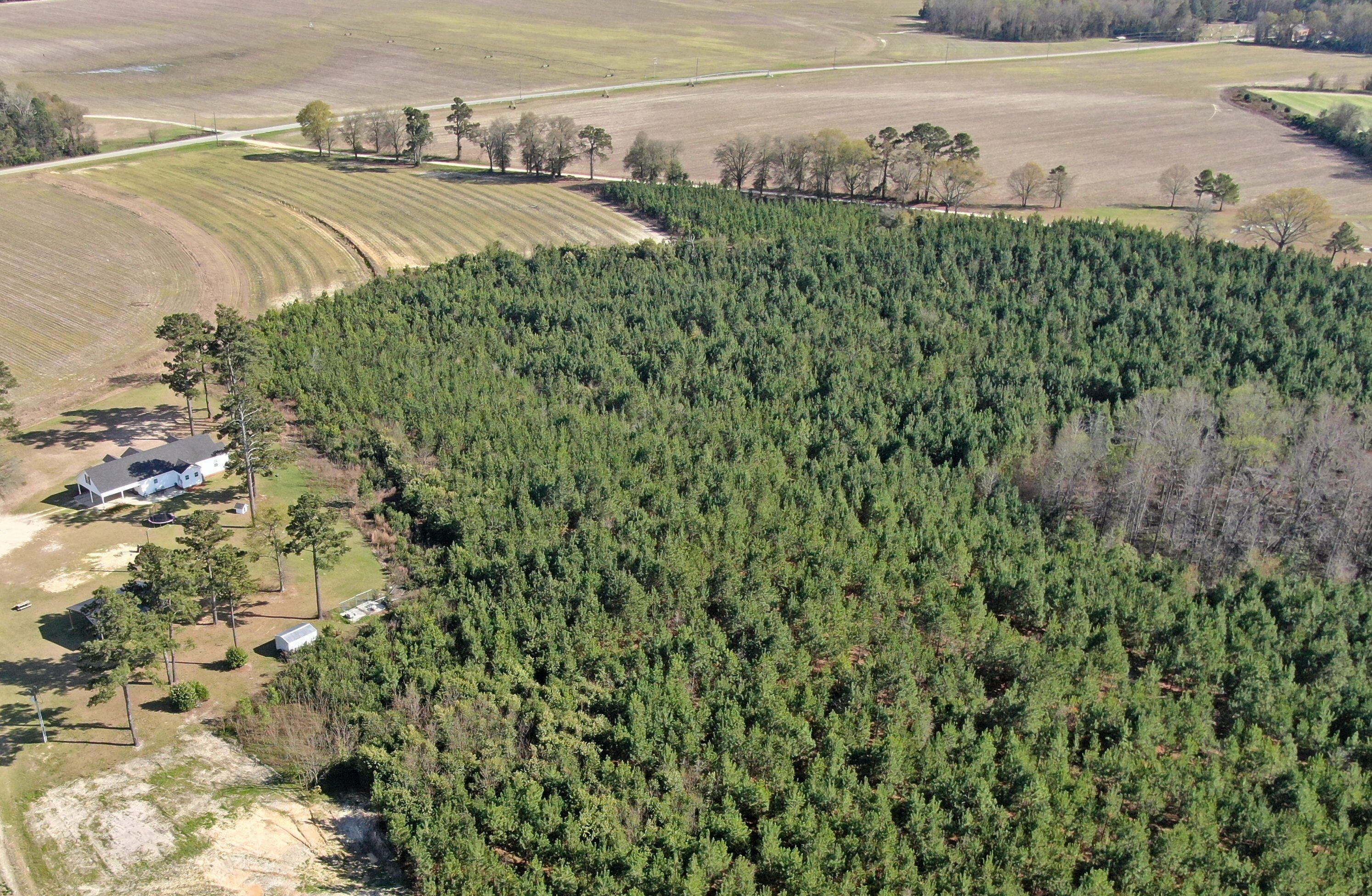 445 GRIFFIN LANDING Road