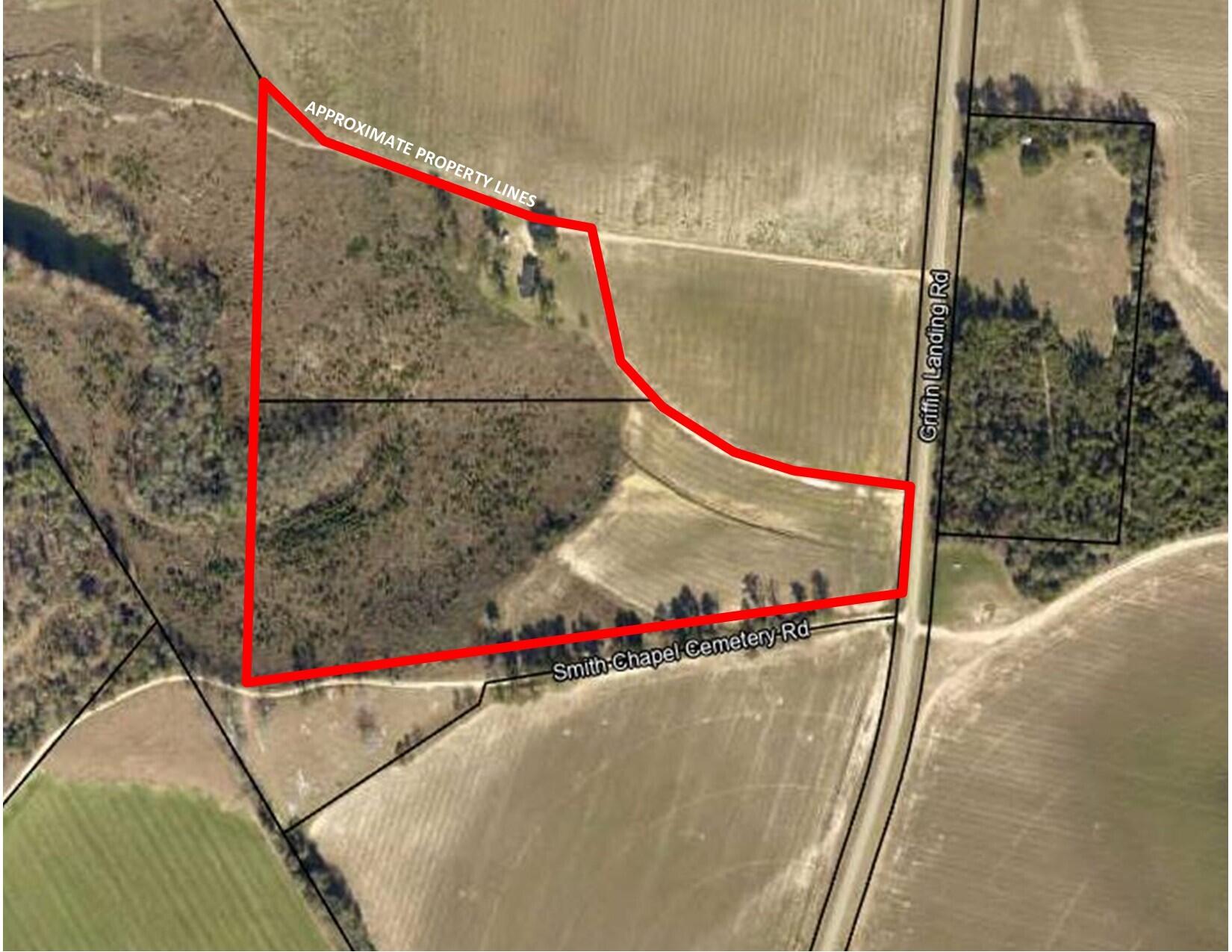 445 GRIFFIN LANDING Road