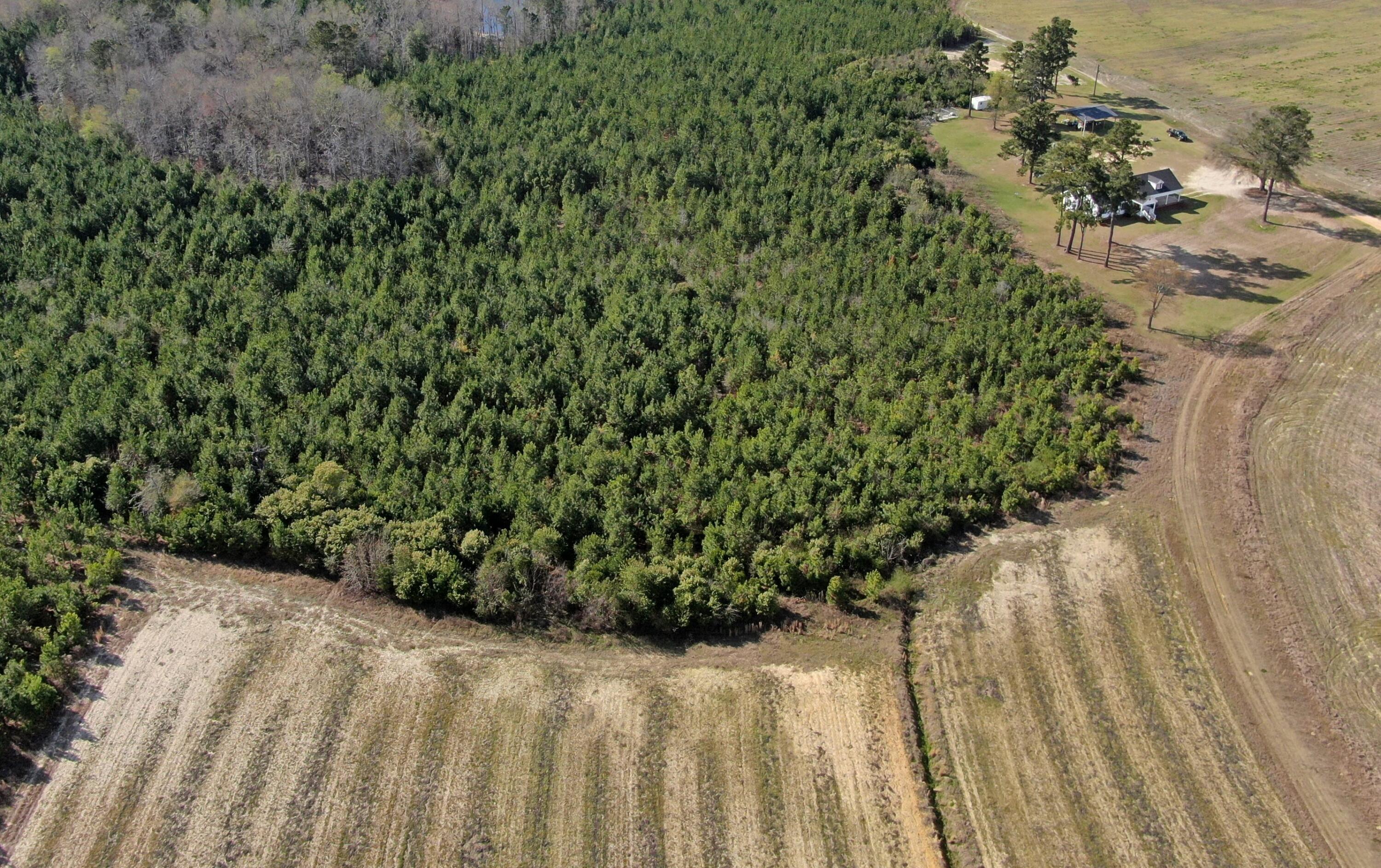 445 GRIFFIN LANDING Road