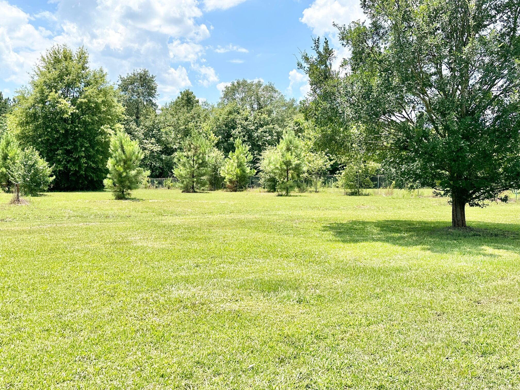 3665 SPRINGHILL CHURCH Road