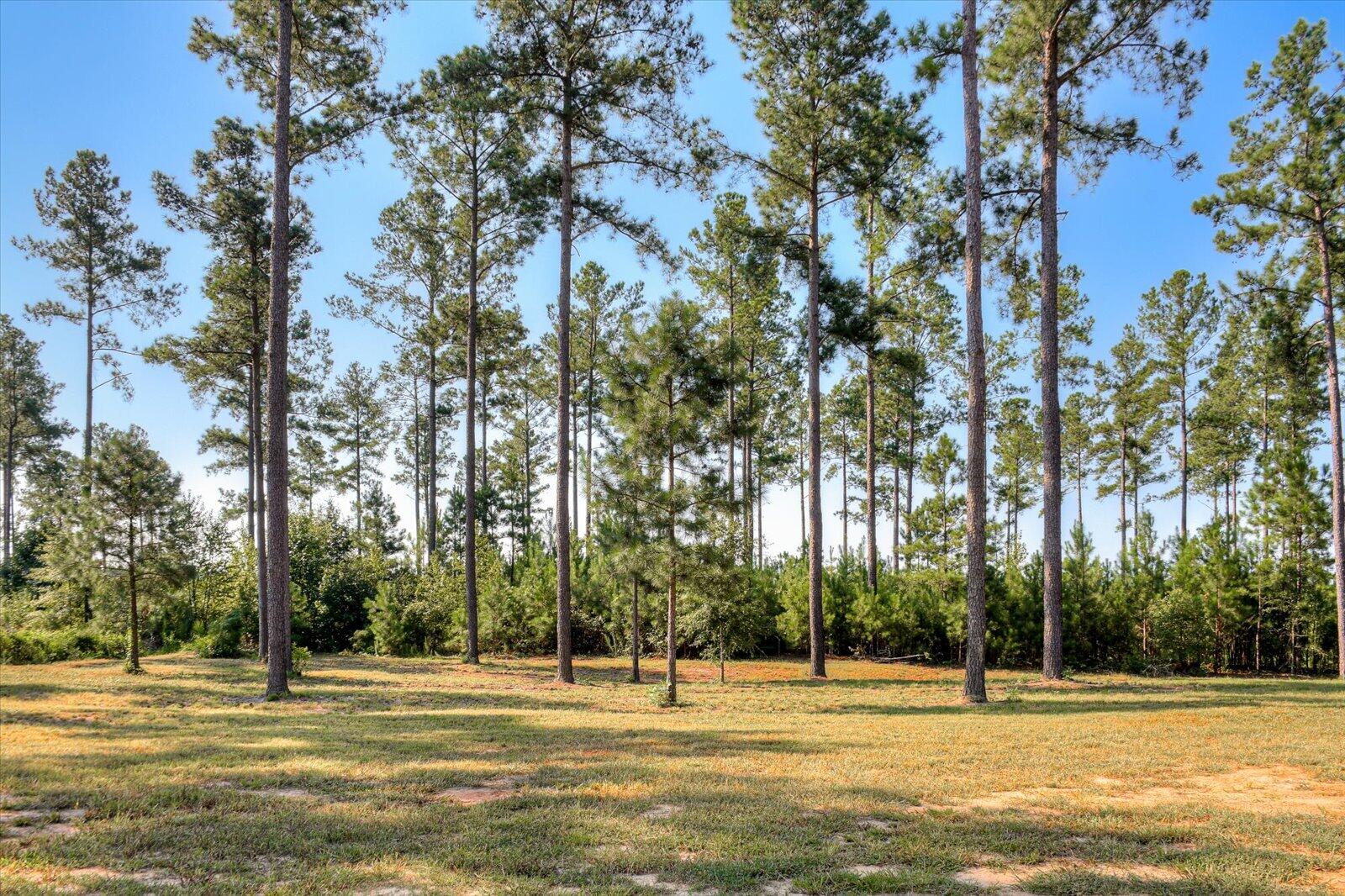 1353 SPREAD OAK Road