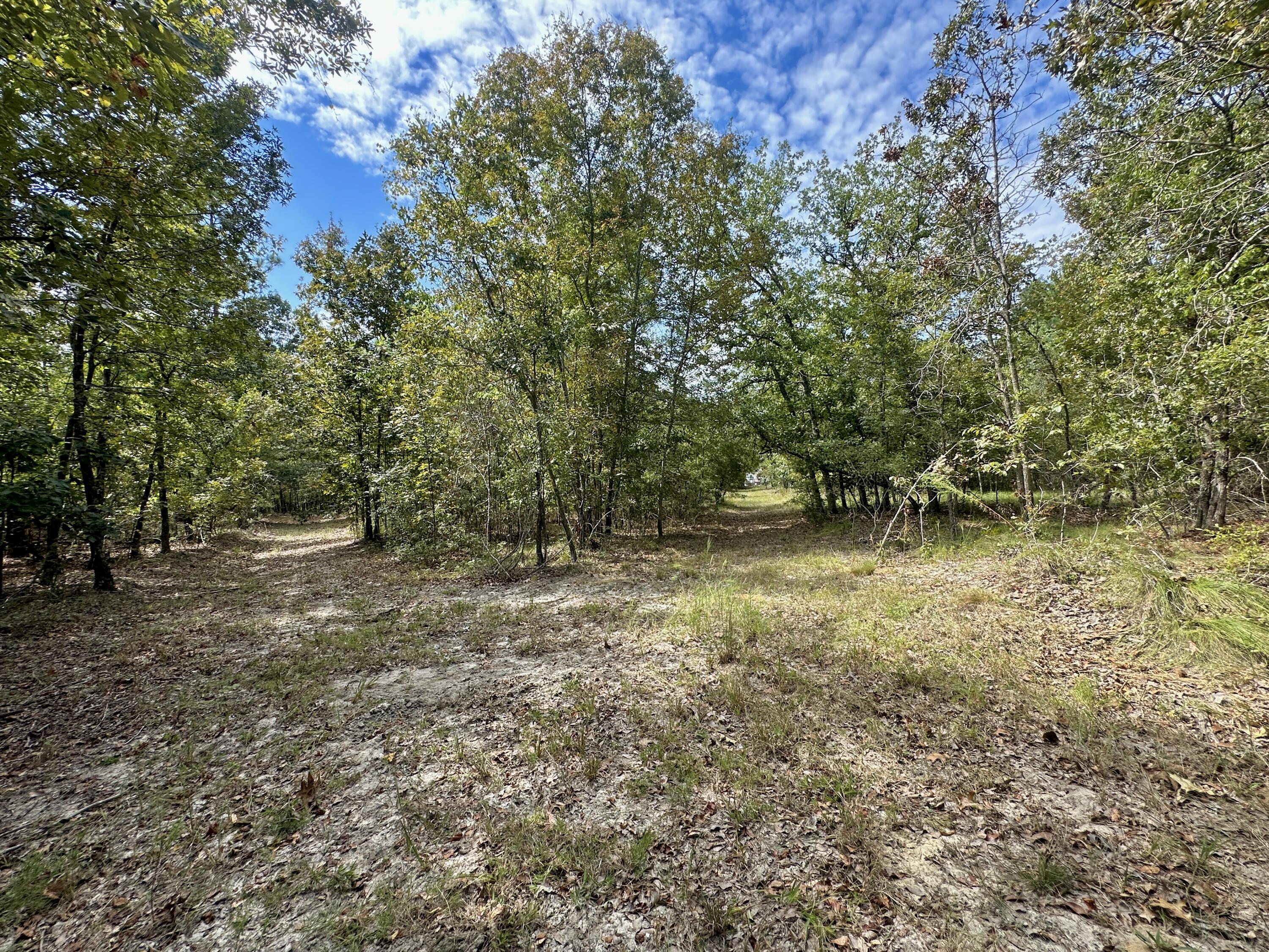 1124 BRIGHAM LANDING Road