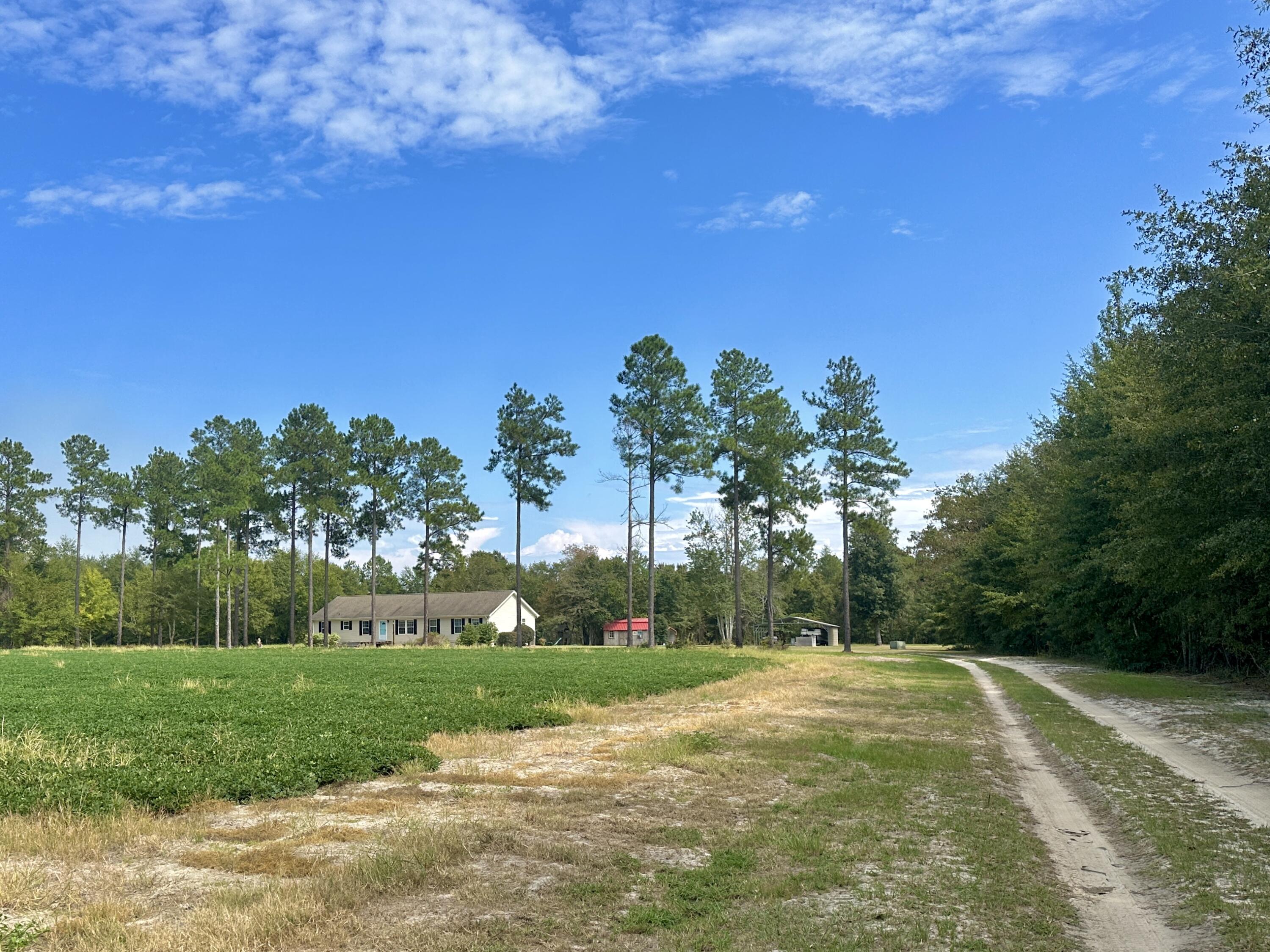 1124 BRIGHAM LANDING Road