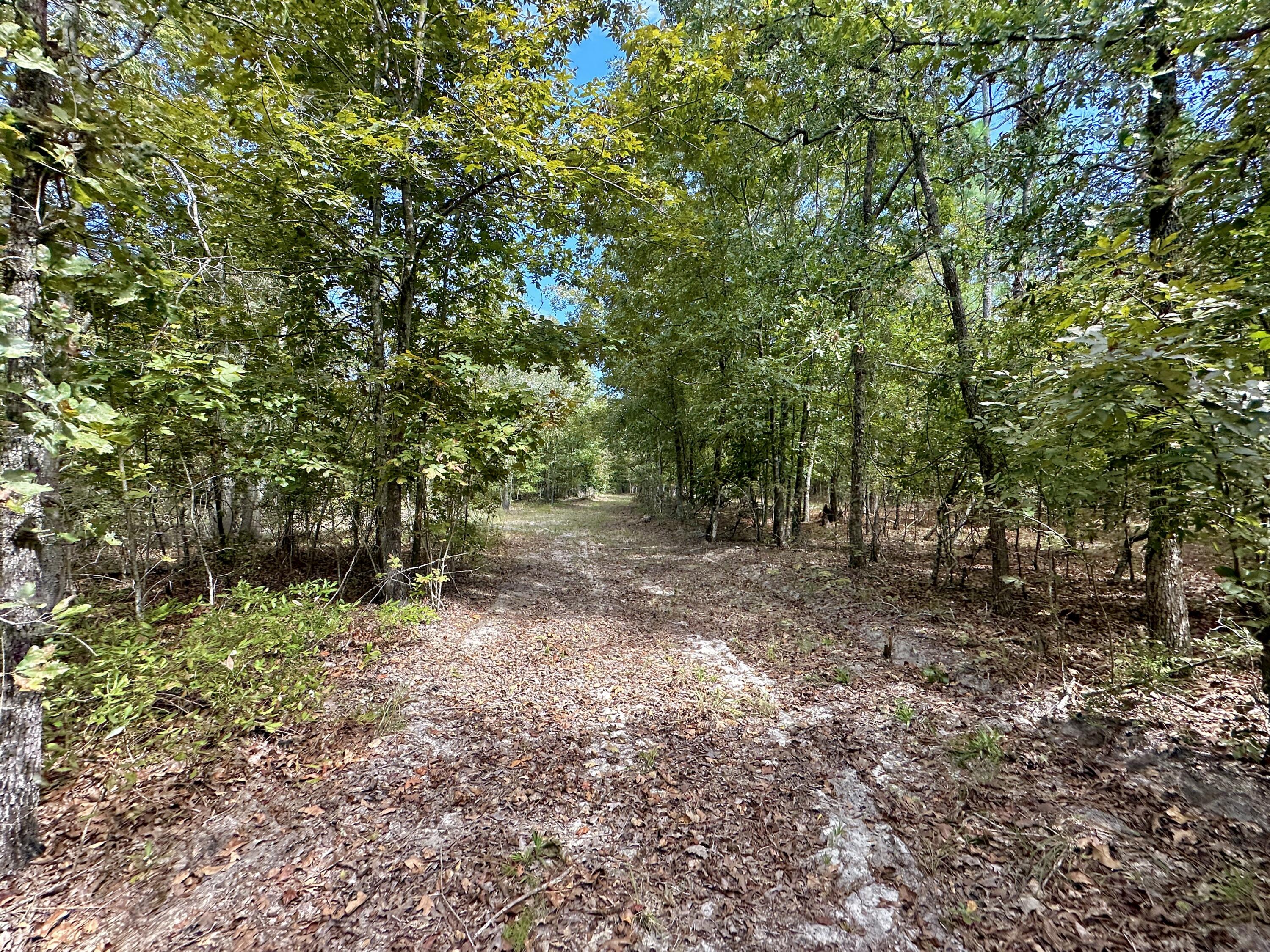 1124 BRIGHAM LANDING Road