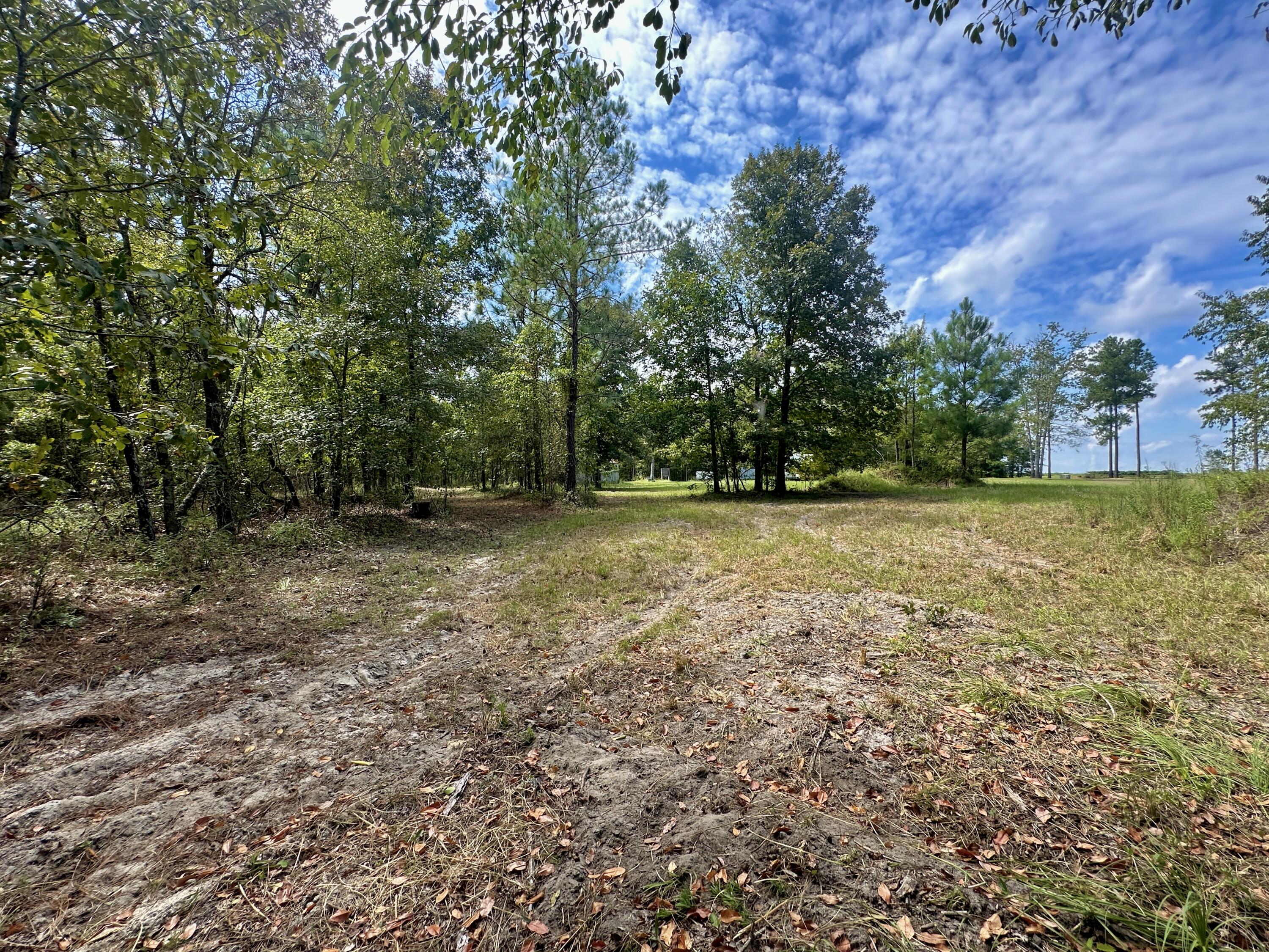 1124 BRIGHAM LANDING Road