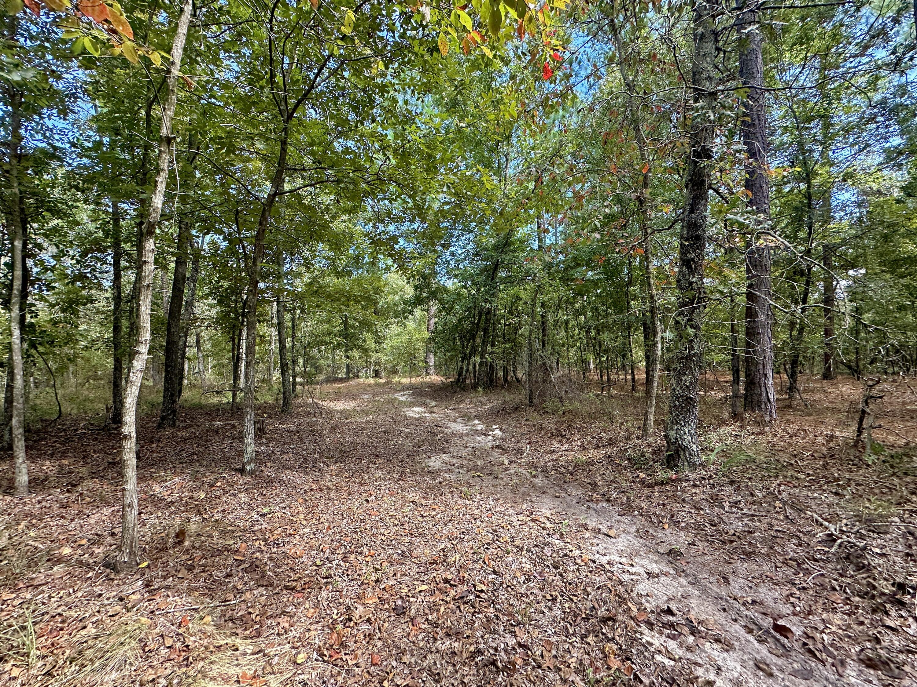 1124 BRIGHAM LANDING Road