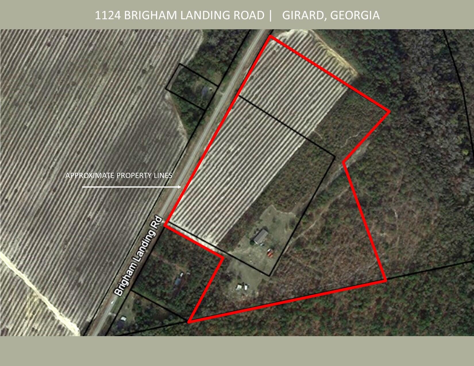 1124 BRIGHAM LANDING Road