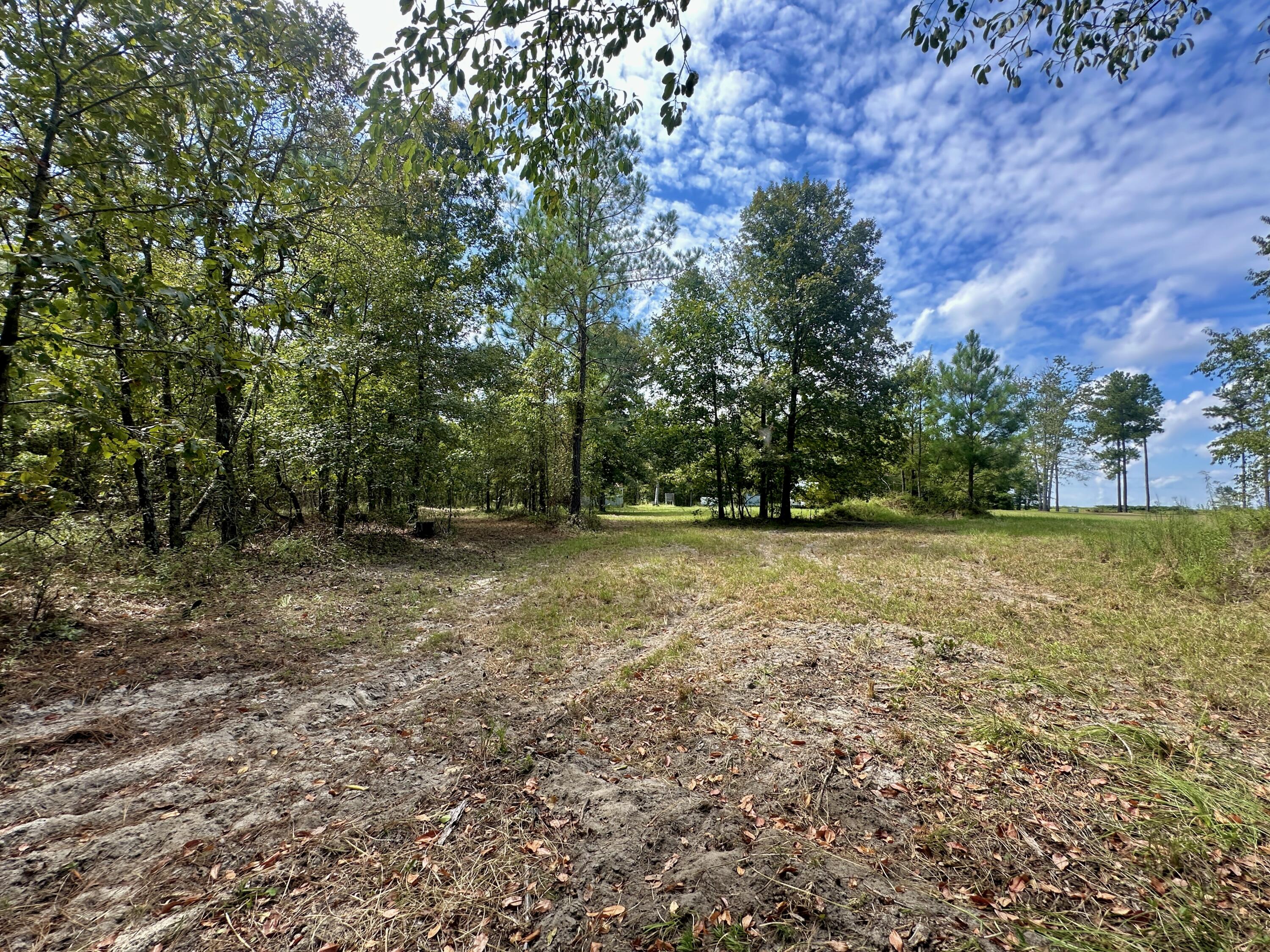 1124 BRIGHAM LANDING Road