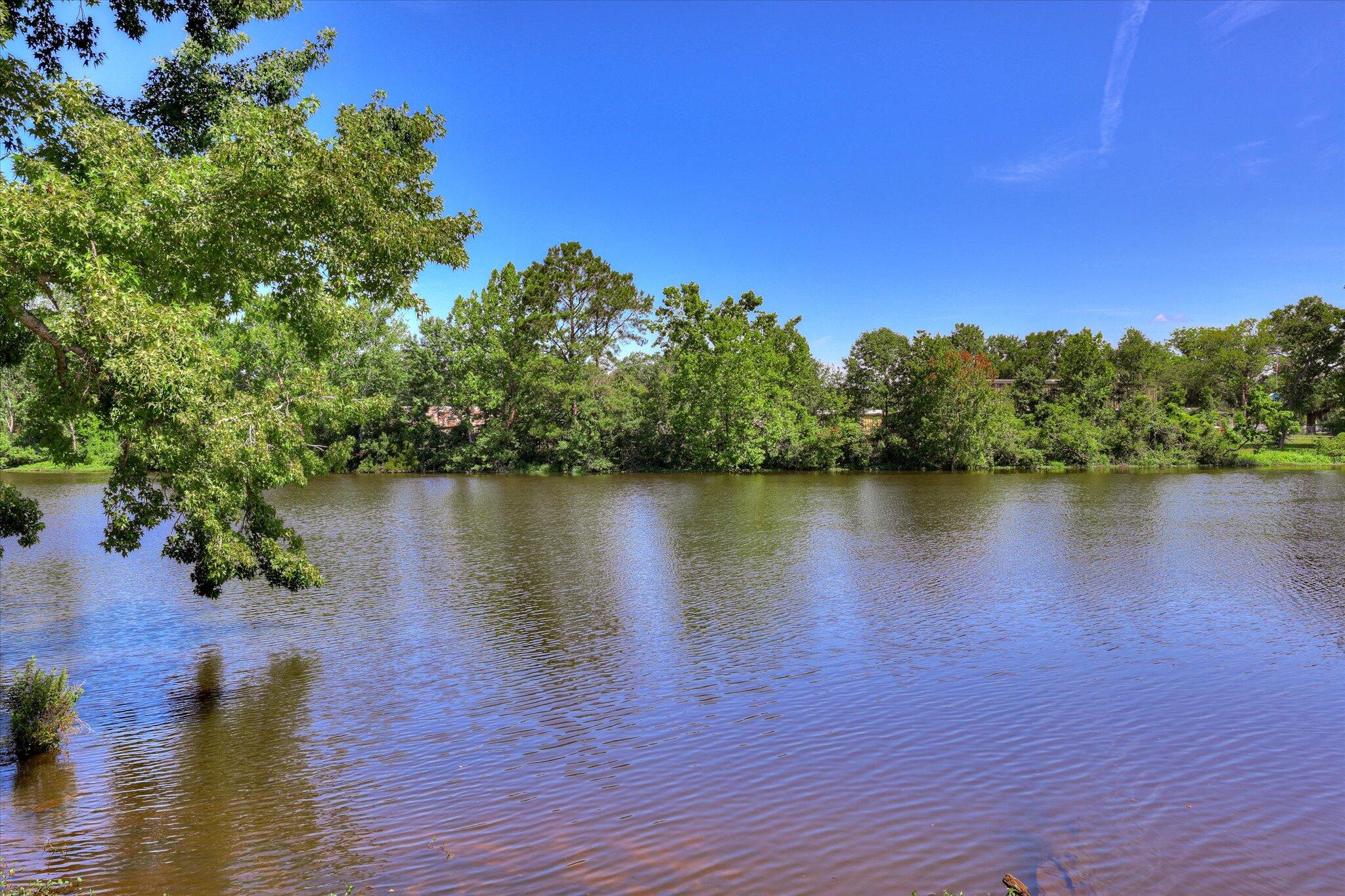 118 Lake Bluff Drive