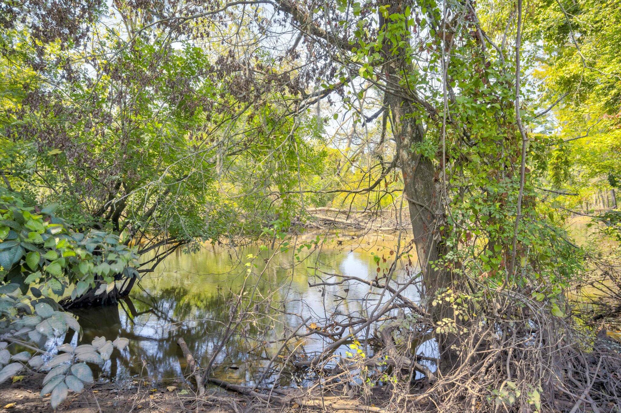 129 Brannen Landing Landing