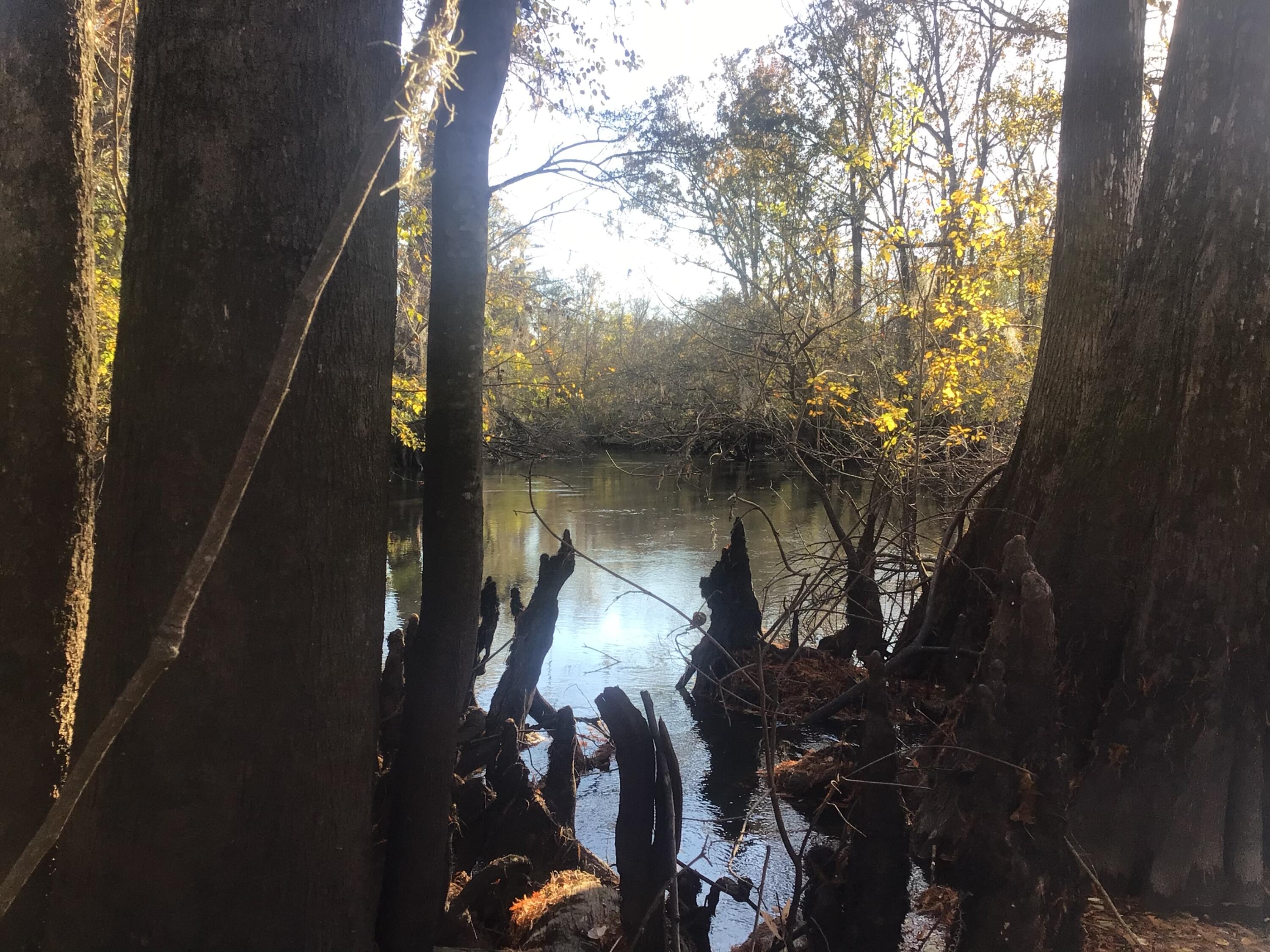 129 Brannen Landing Landing