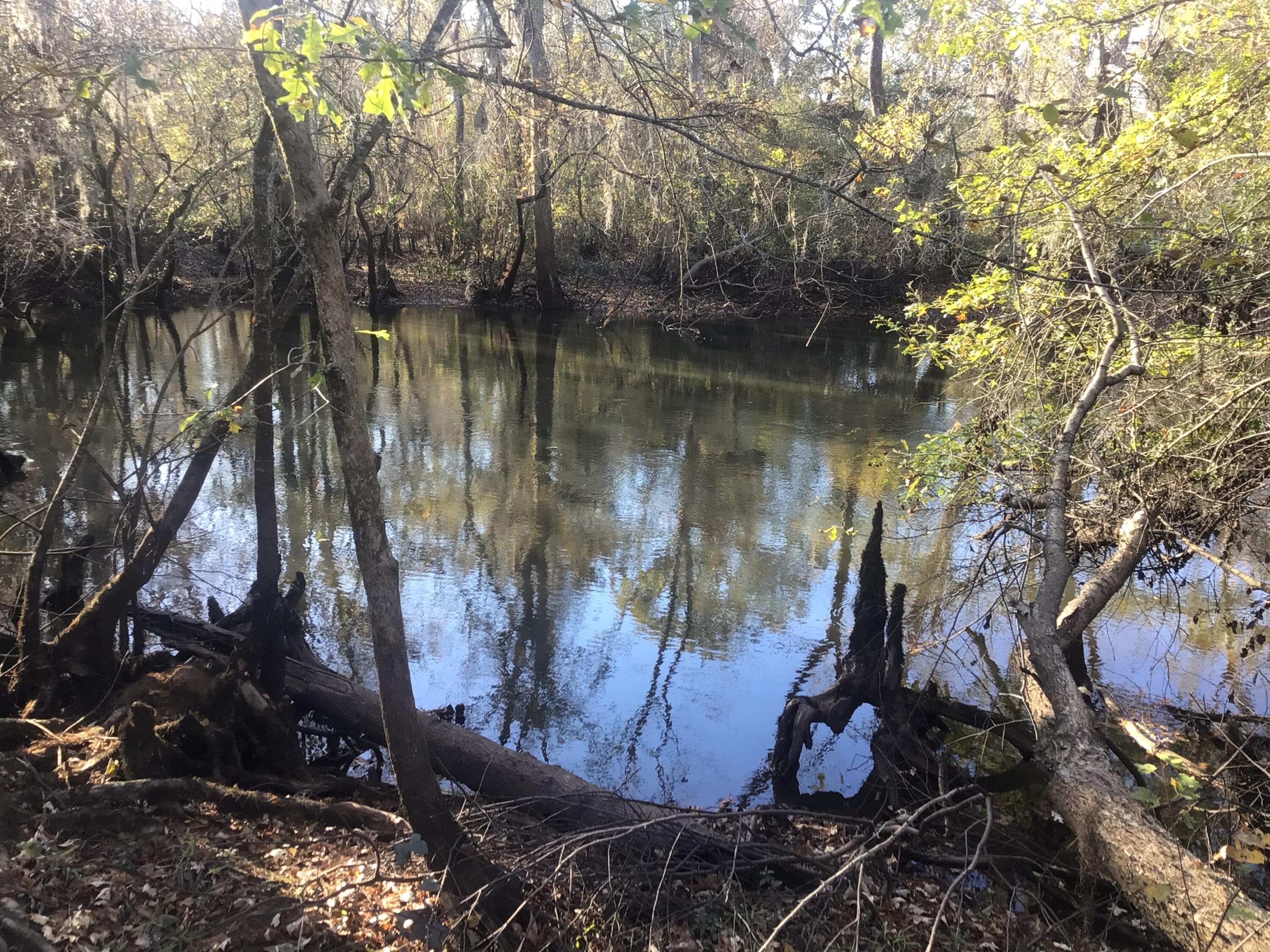 129 Brannen Landing Landing