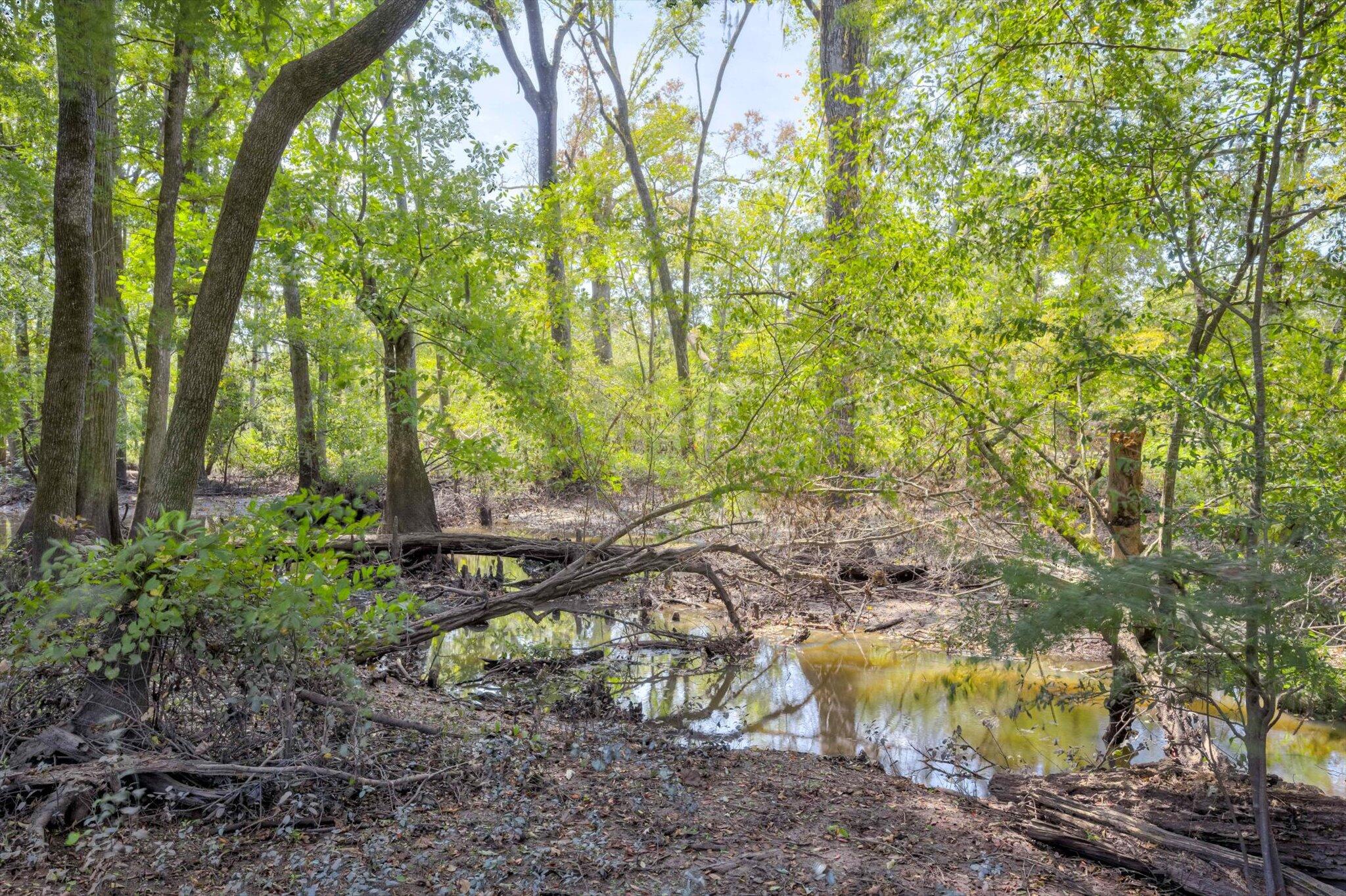 129 Brannen Landing Landing