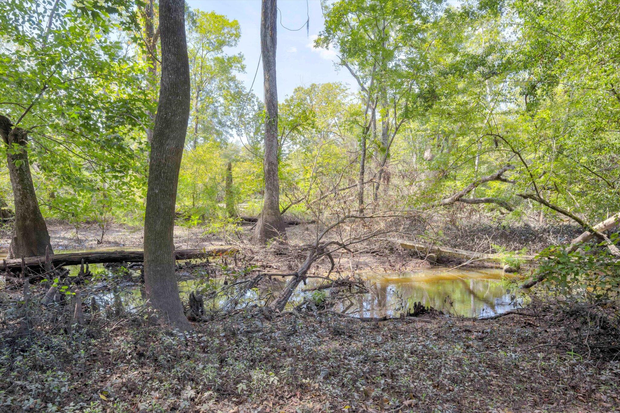 129 Brannen Landing Landing