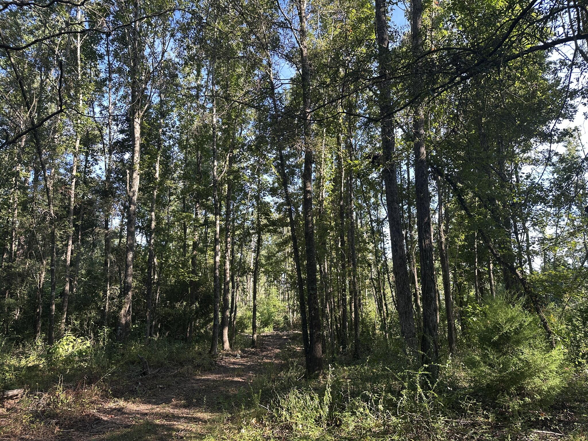 0 Bailey Road