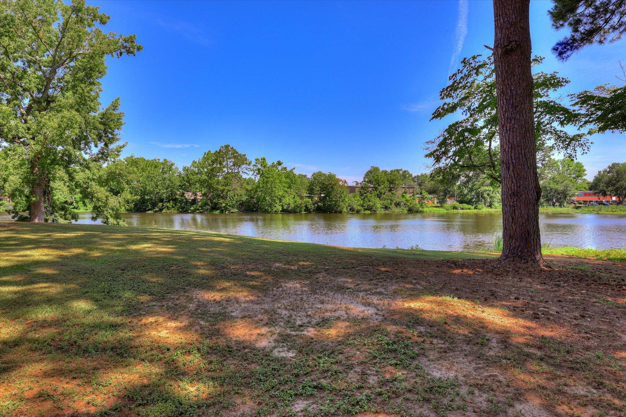 118 Lake Bluff Drive