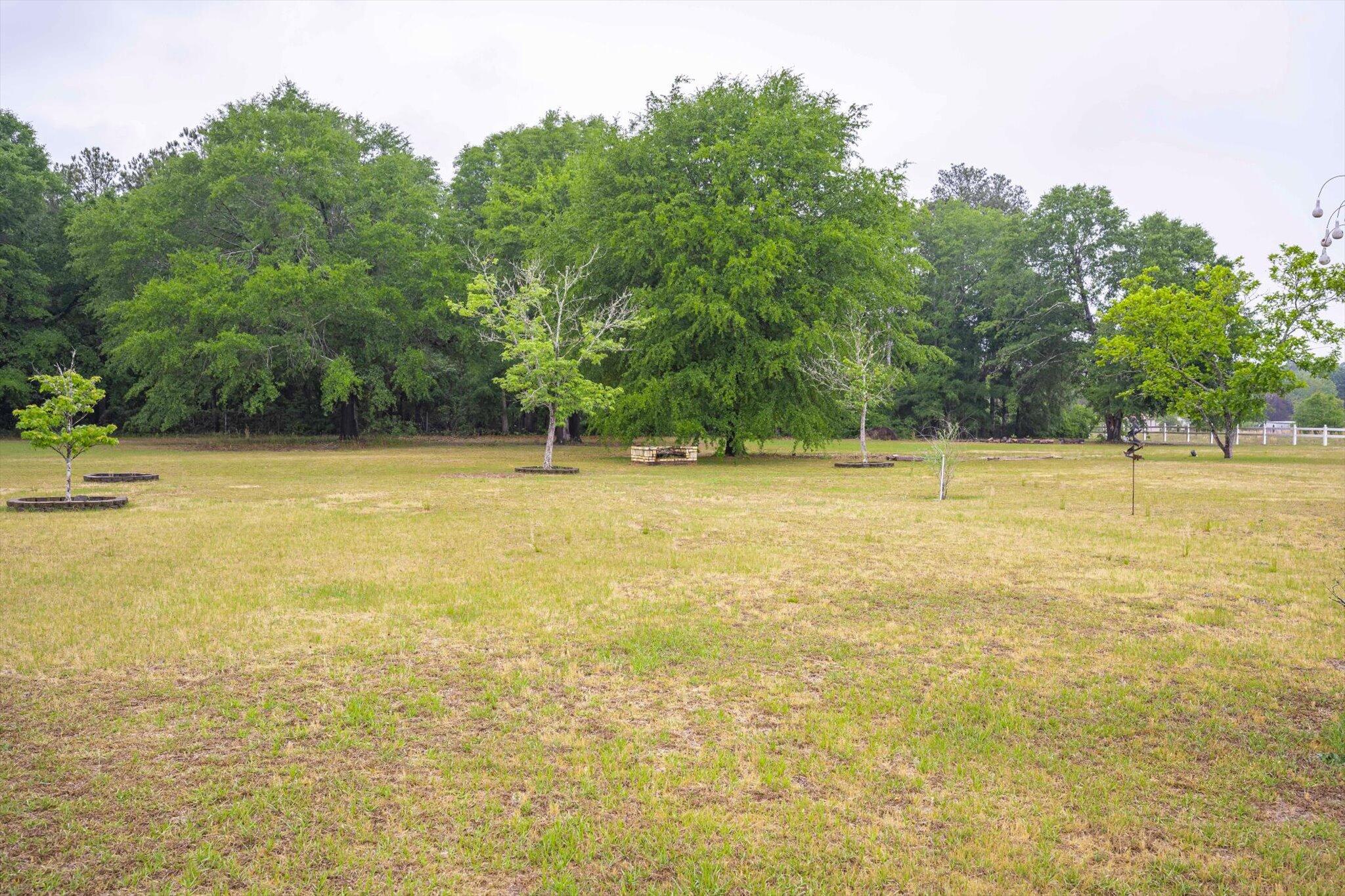 2001 Tracy Drive