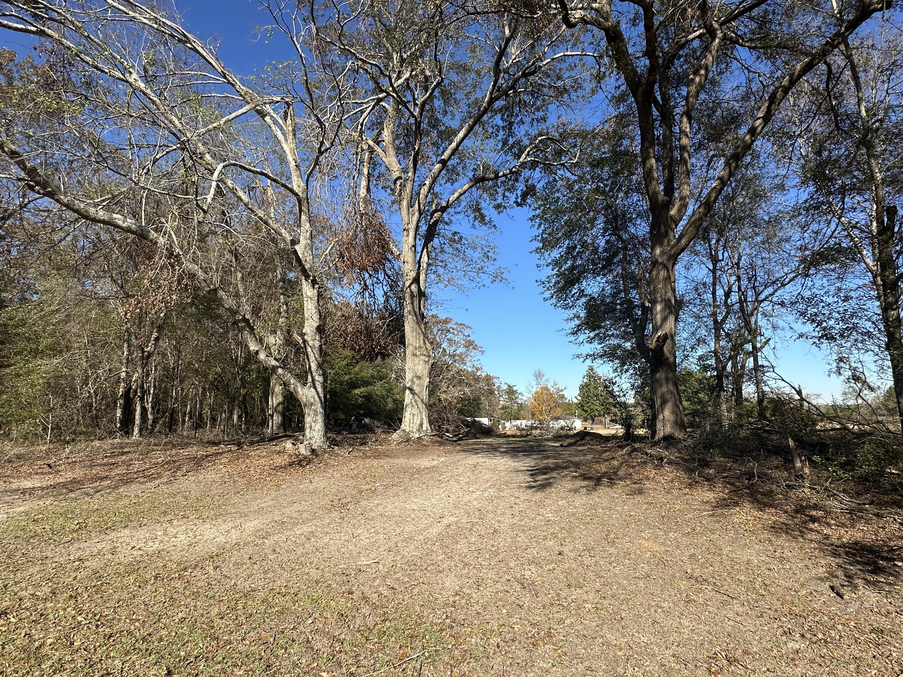 558 Collins Road