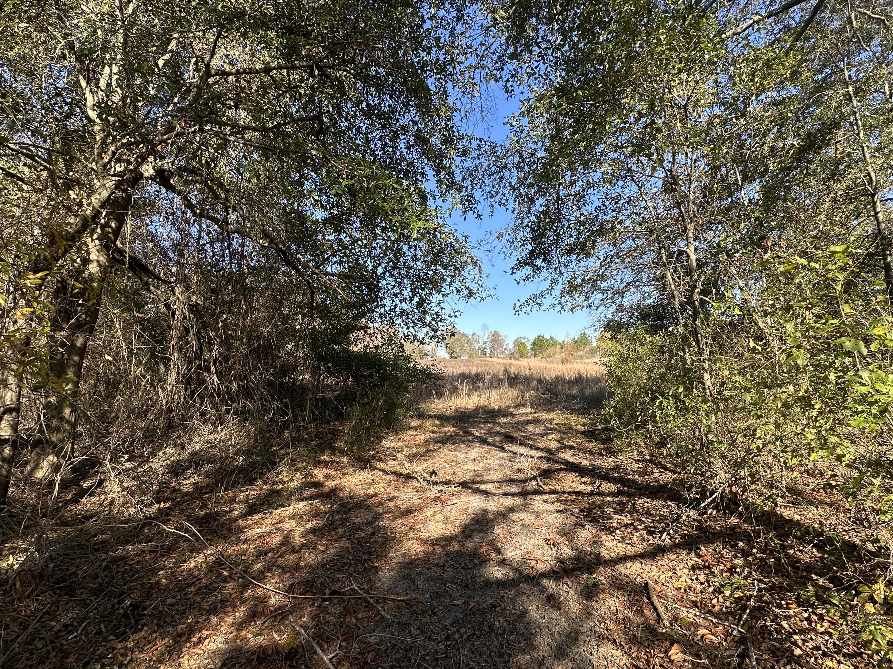 558 Collins Road