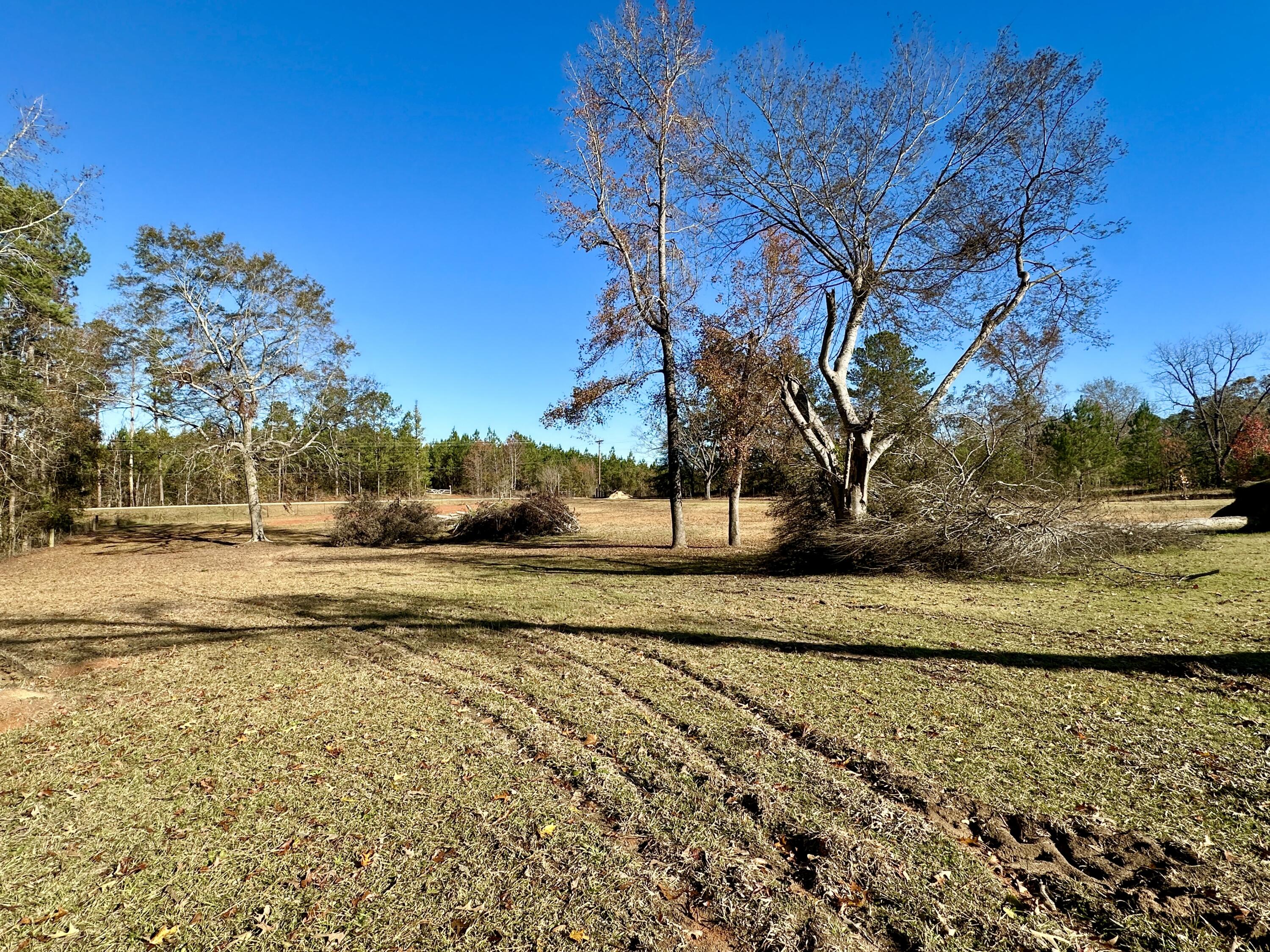 558 Collins Road