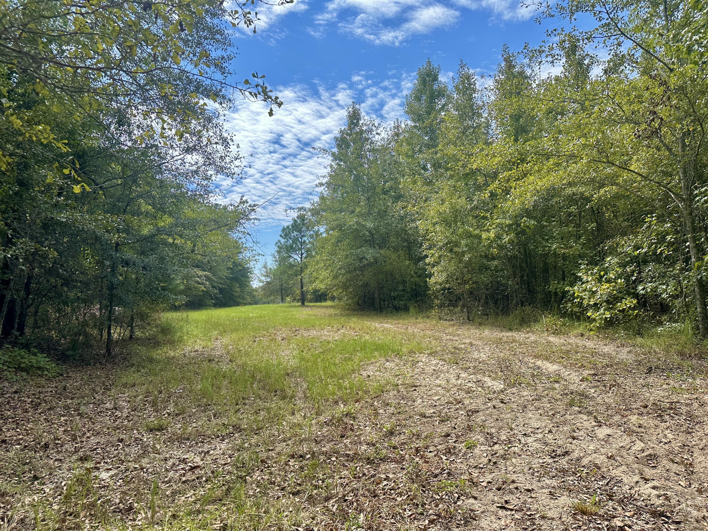 1124 Brigham Landing Road