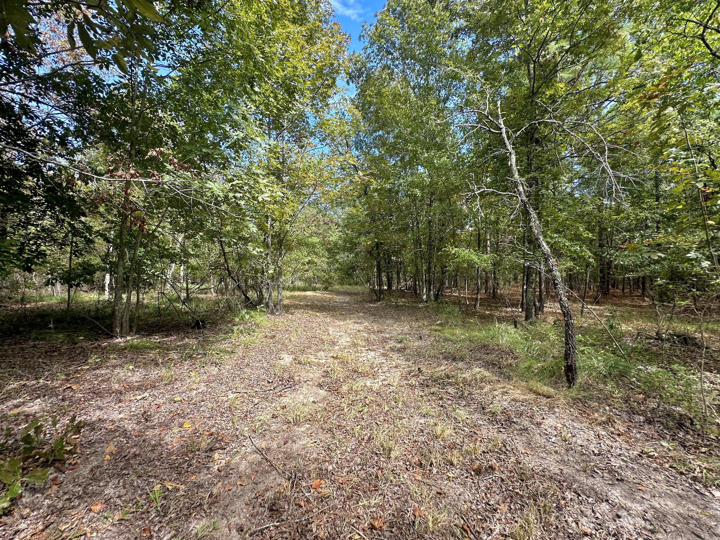 1124 Brigham Landing Road
