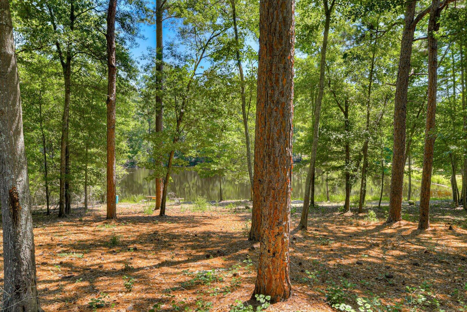 2080 Mims Road