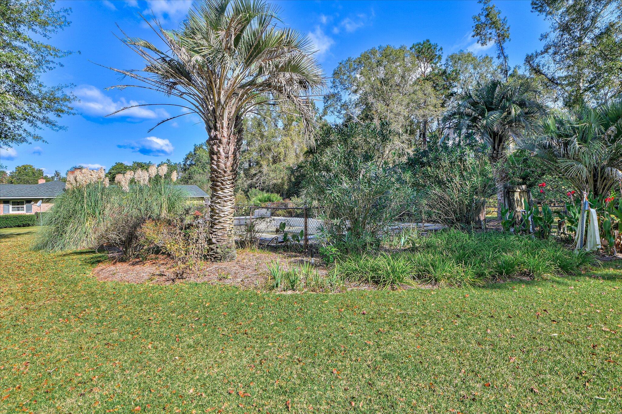 113 Pine Cone Road
