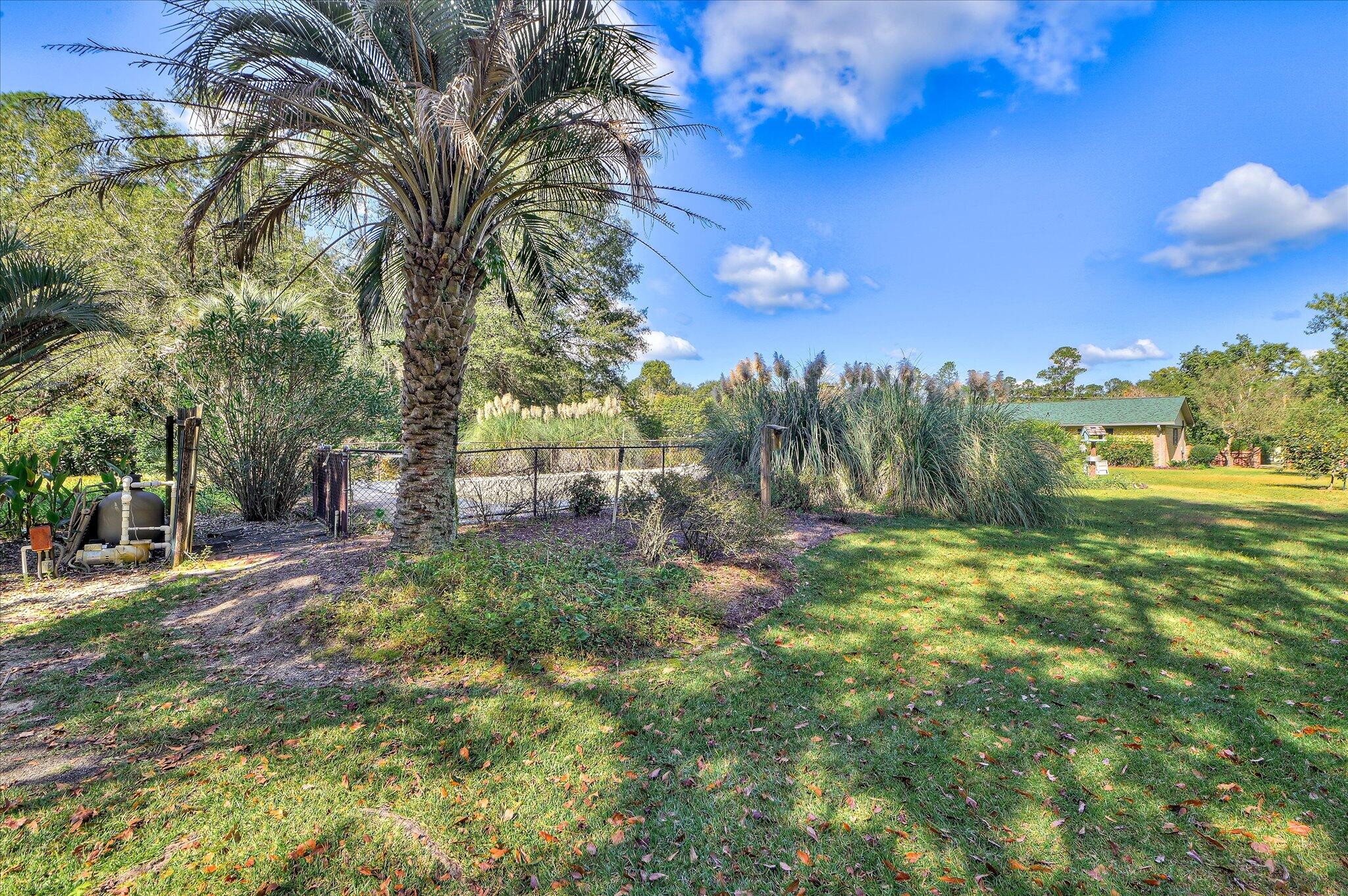 113 Pine Cone Road