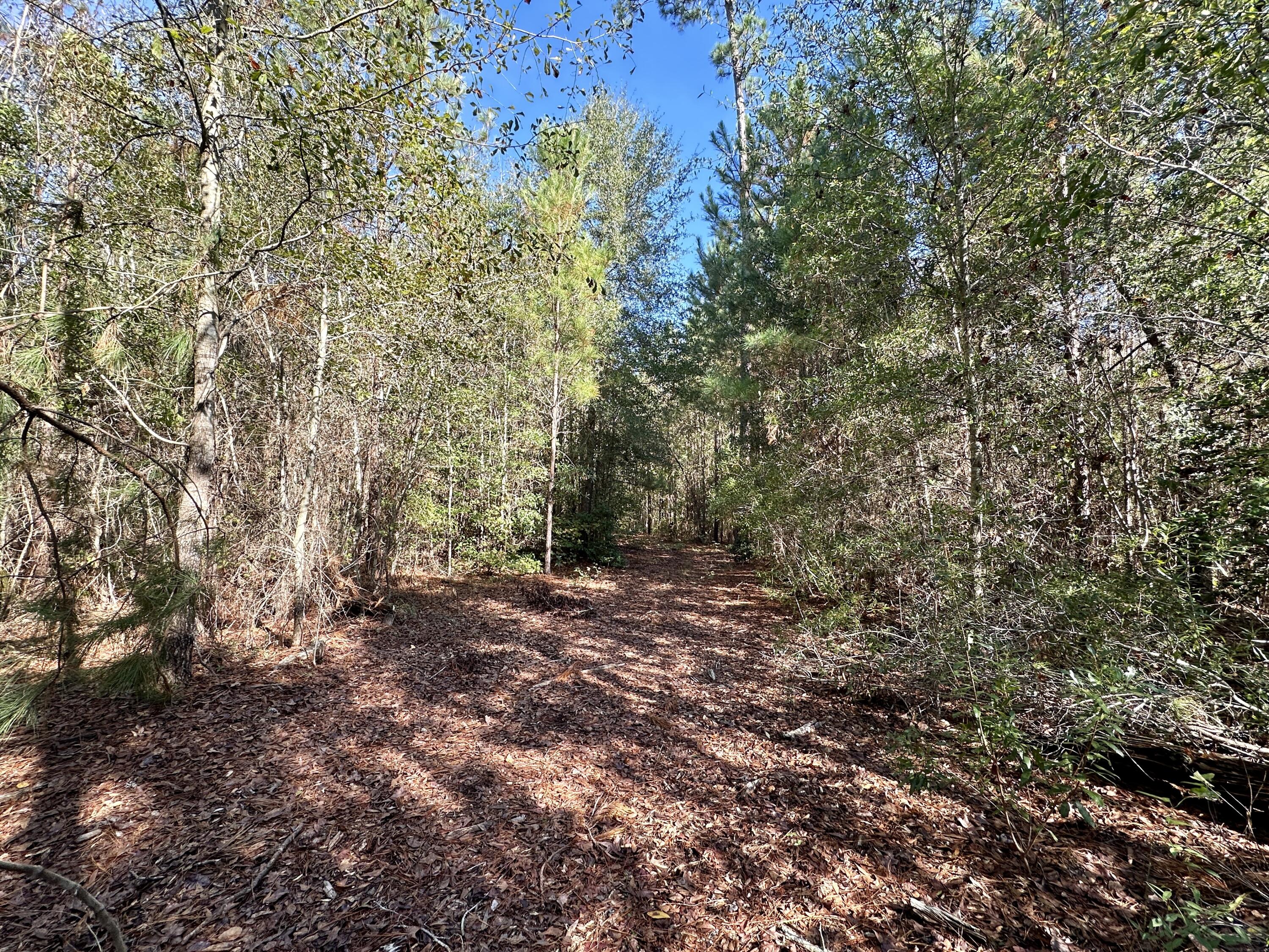 0 Story Mill Road