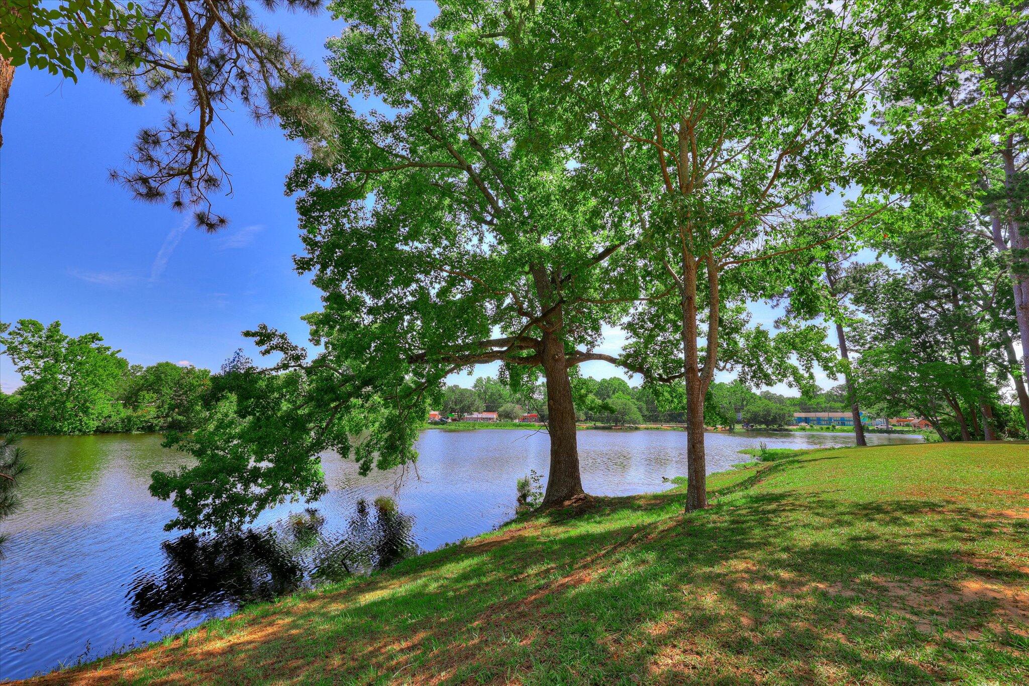 118 Lake Bluff Drive