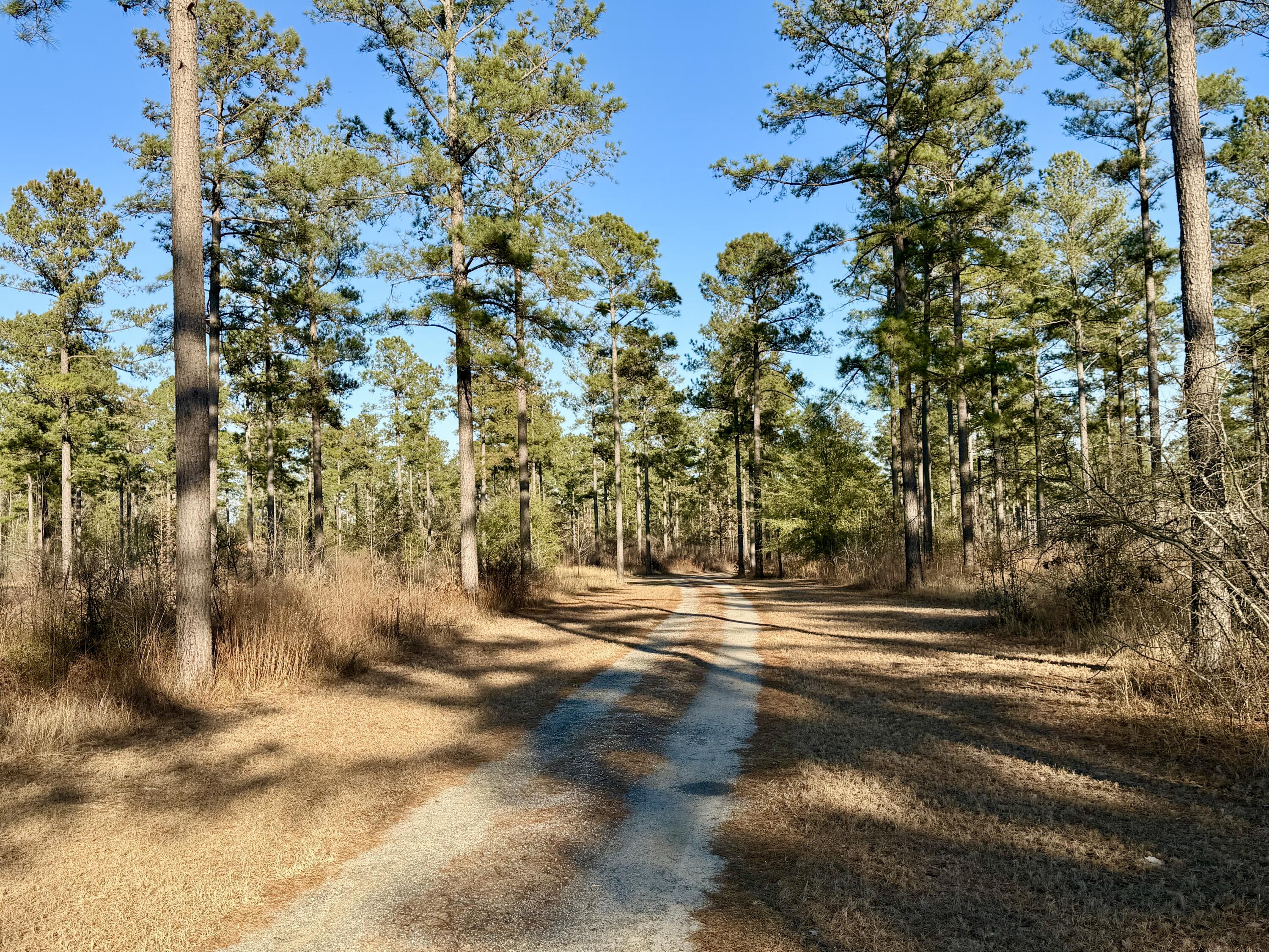 873 Joyner-oglesby Road