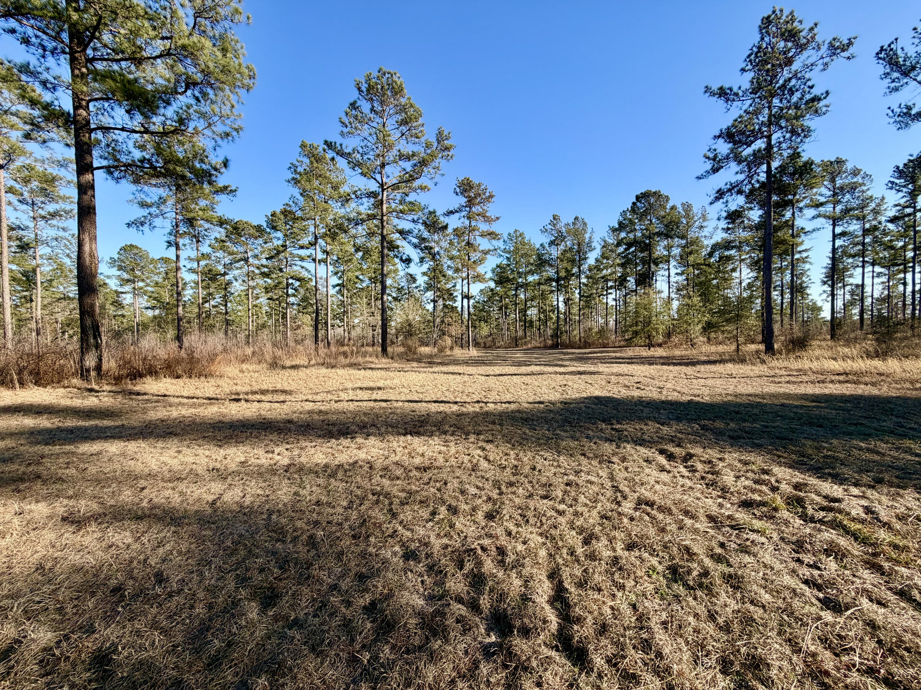873 Joyner-oglesby Road